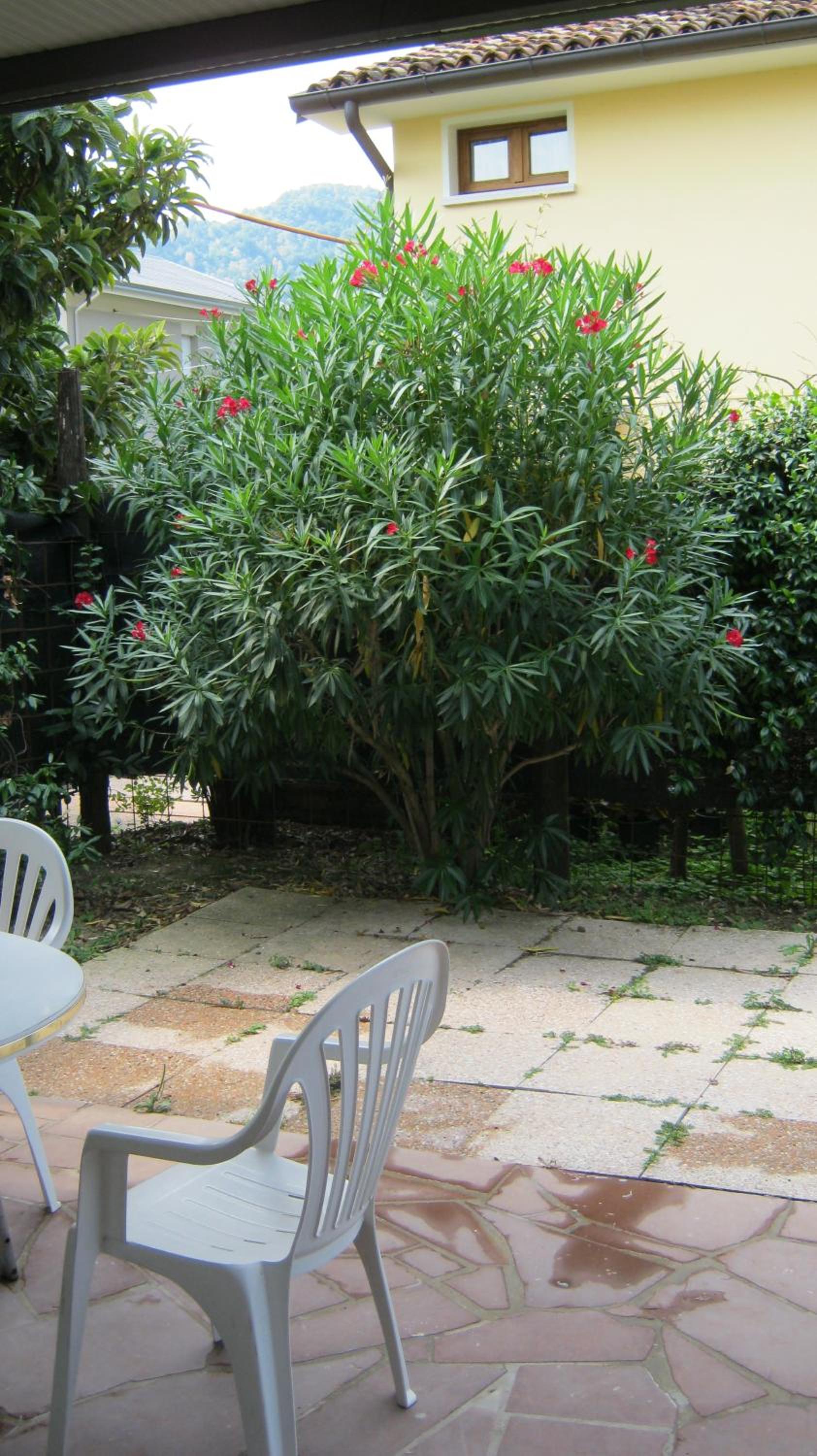La Residence da Caterina, photo 96