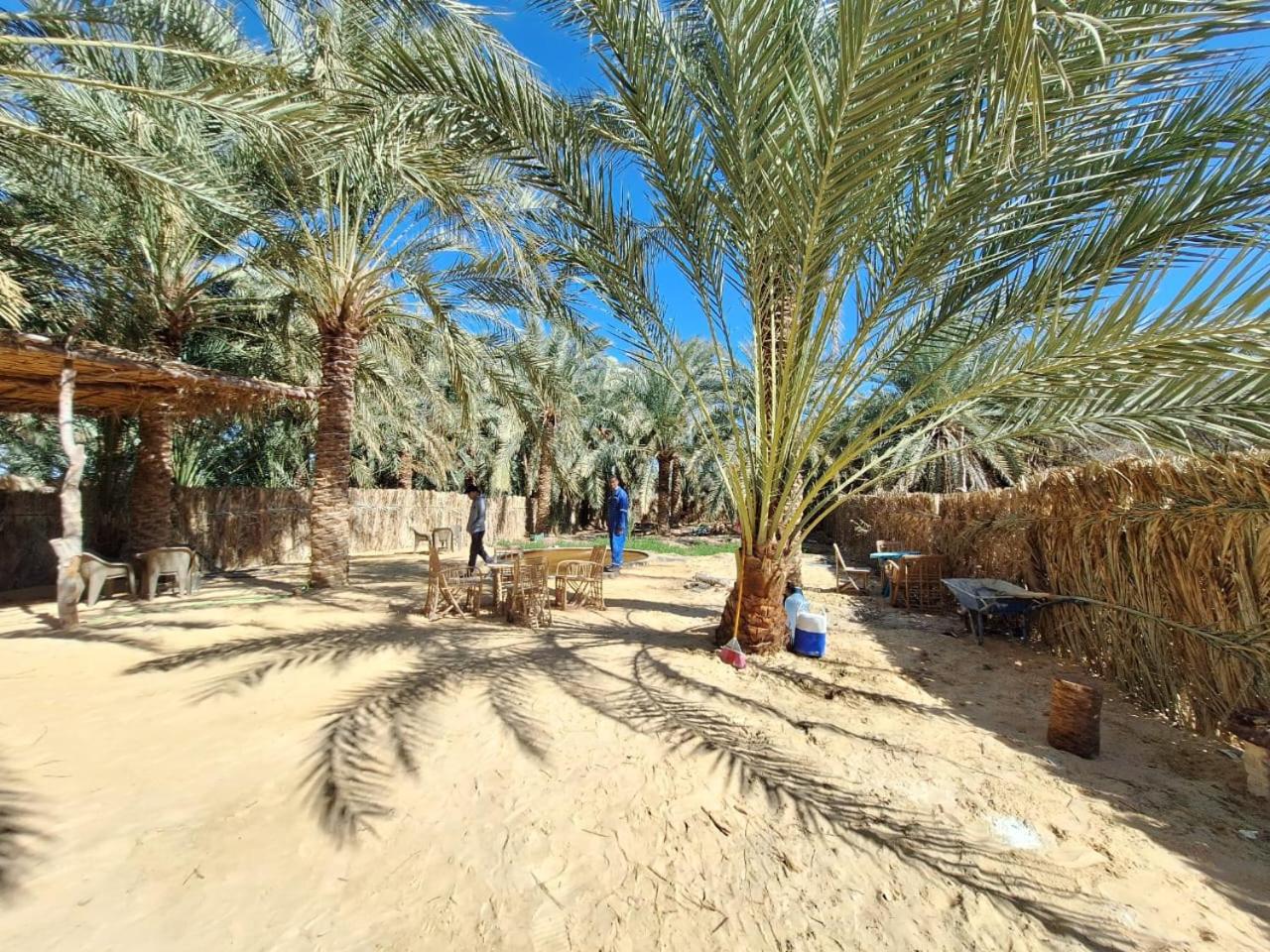 Mezorin Camp