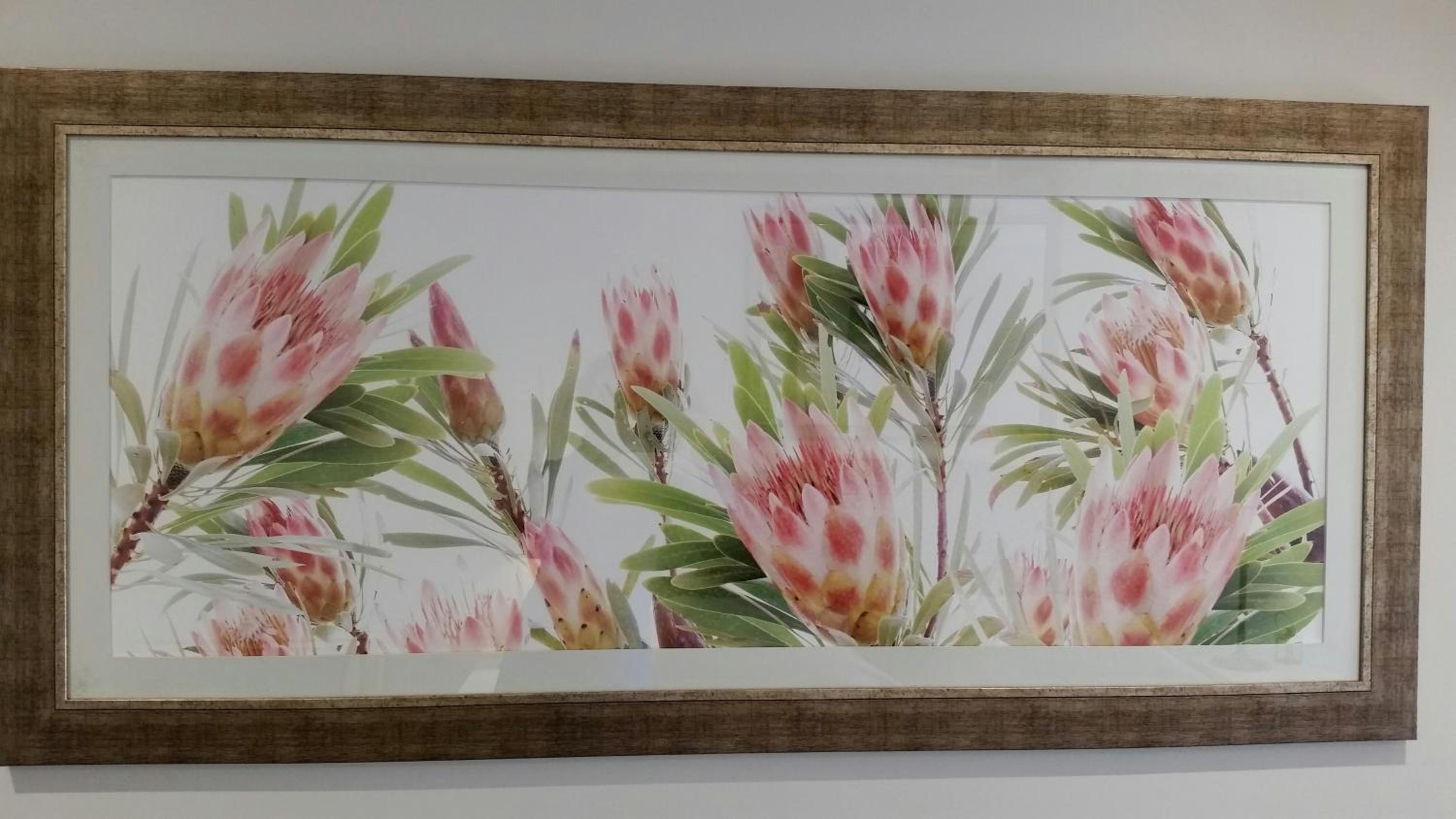 Photo 153