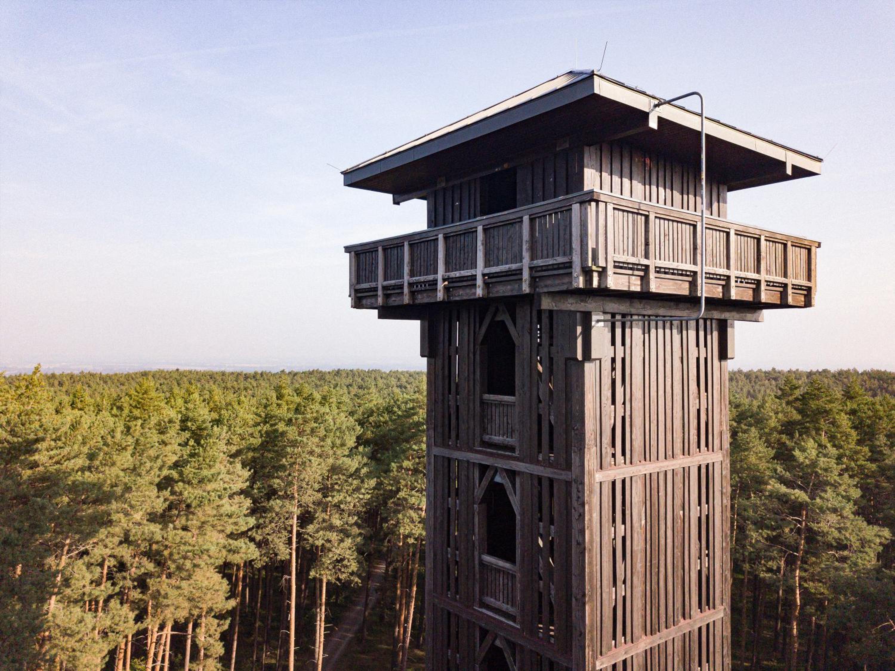 Igelnest Großthiemig