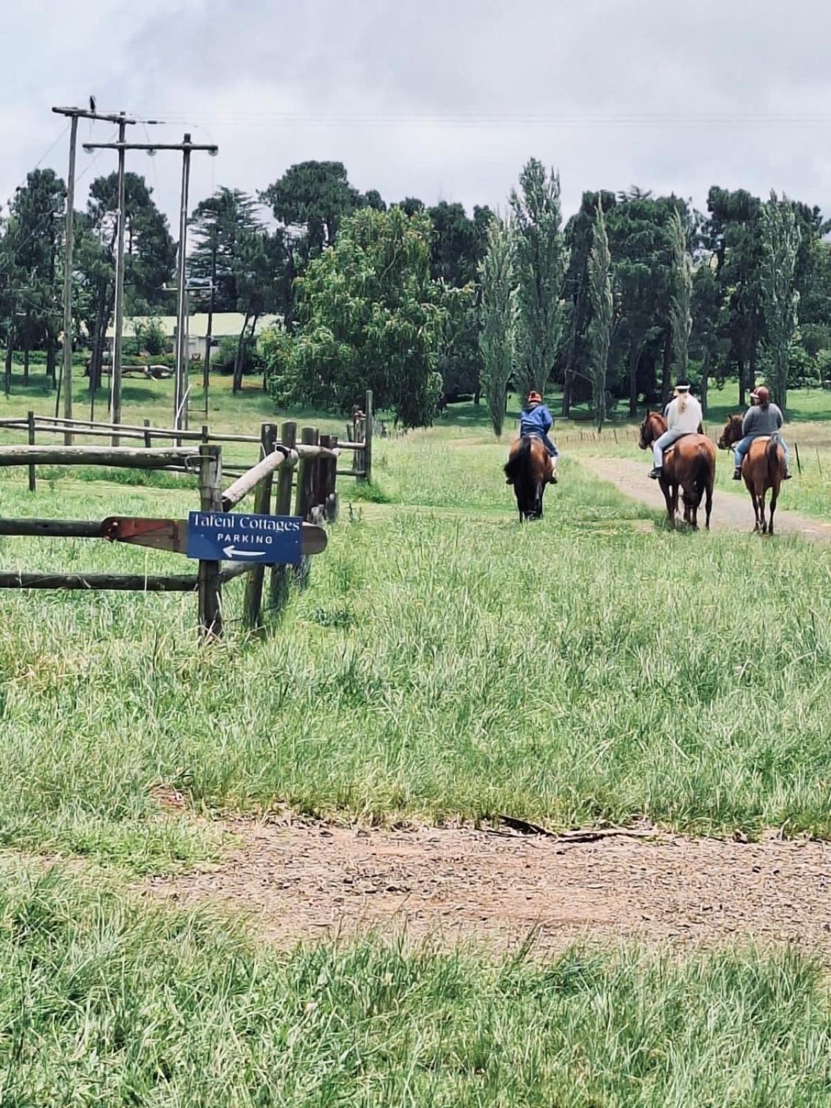 Tafeni Farm Cottages