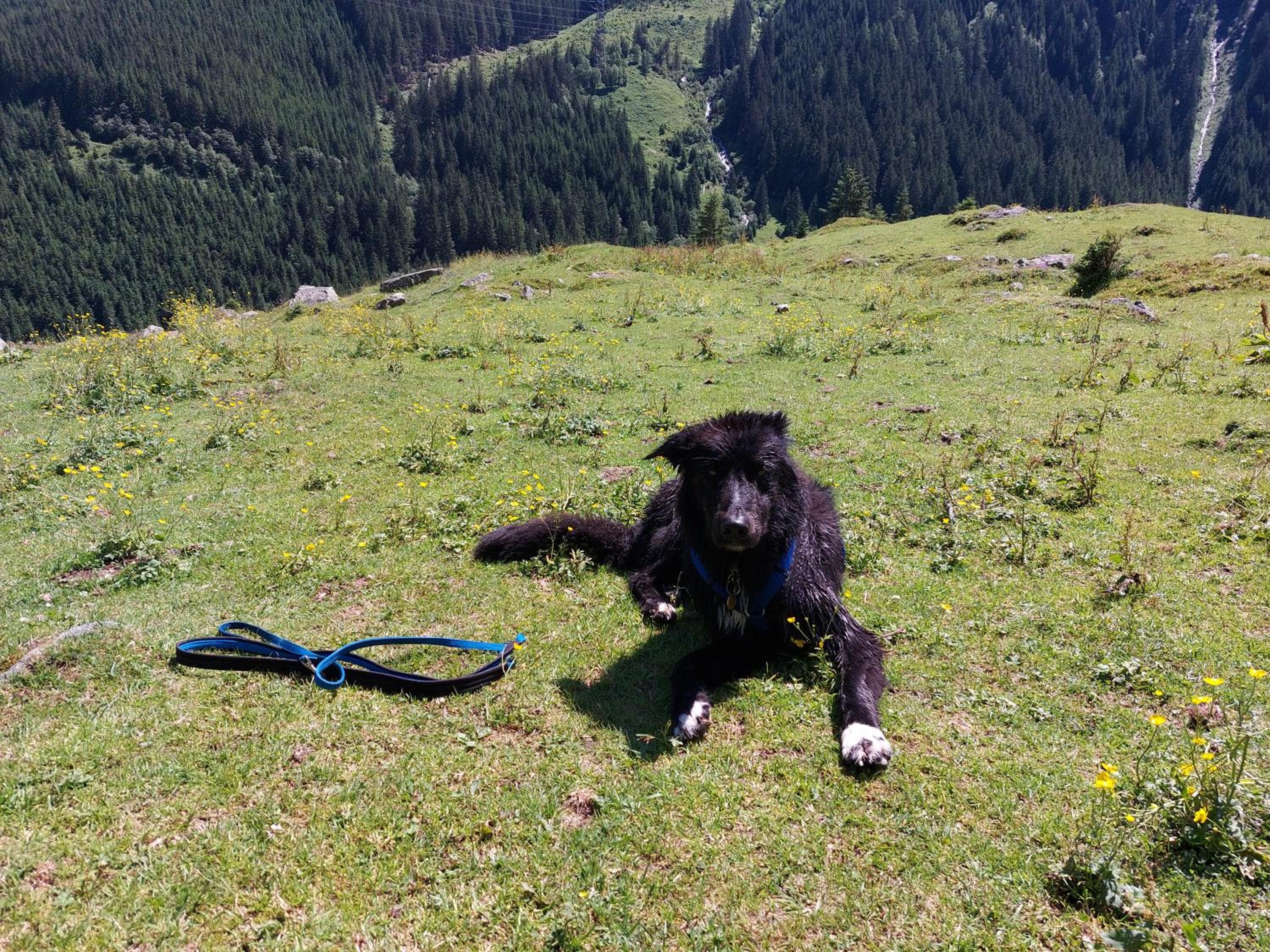 Fasserhof