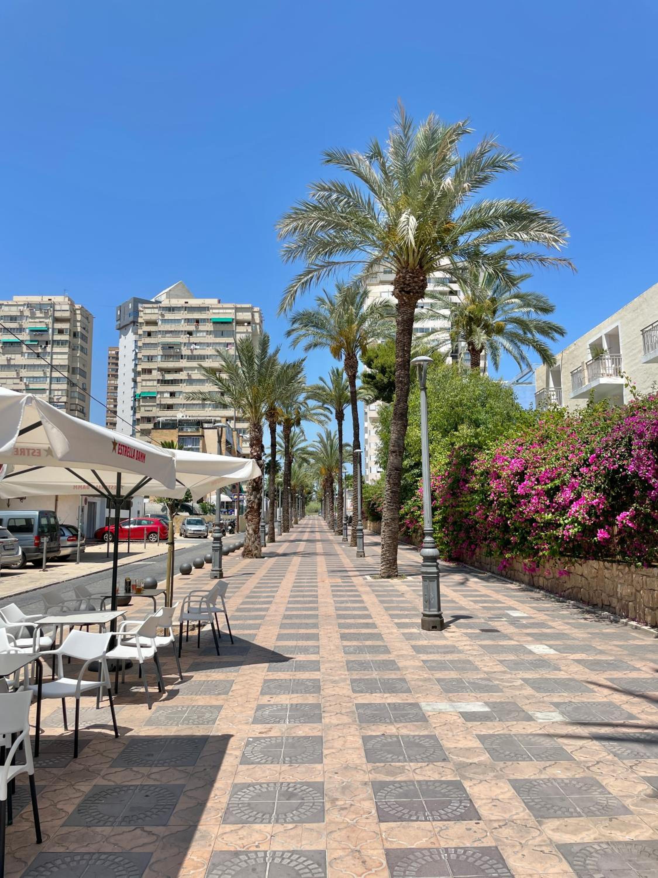New Square Ibiza