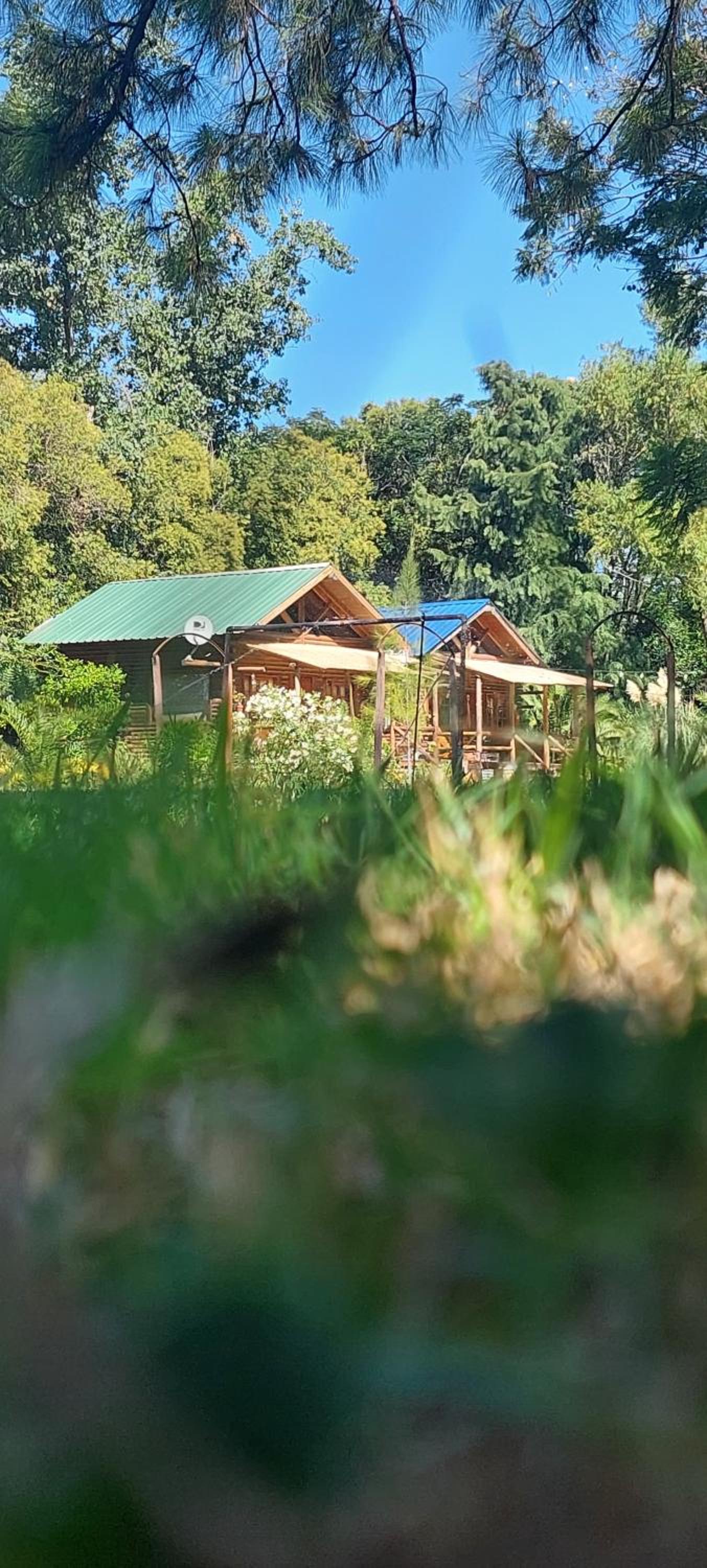 Cabaña Alamos Altos