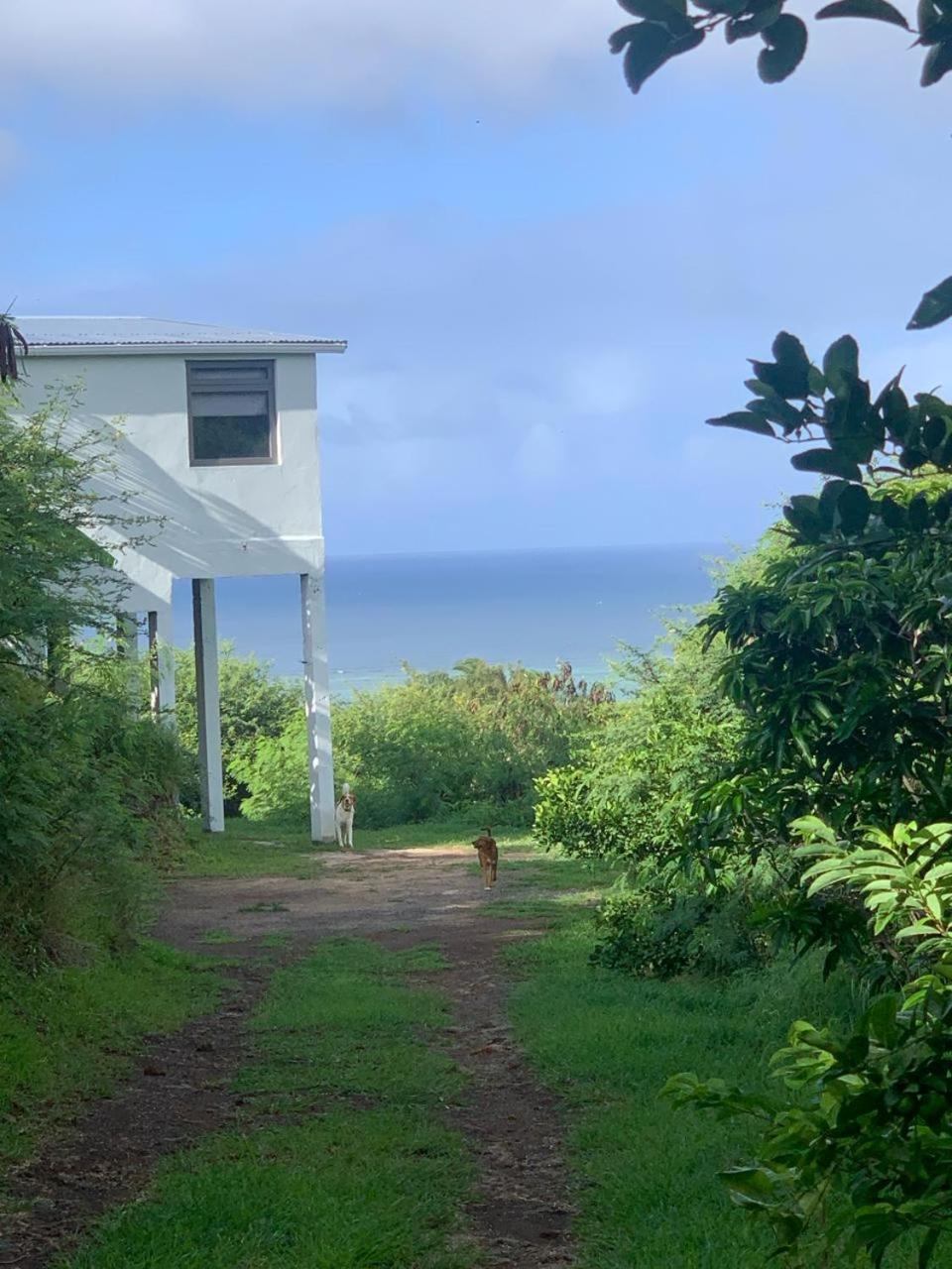 Serenity cottage
