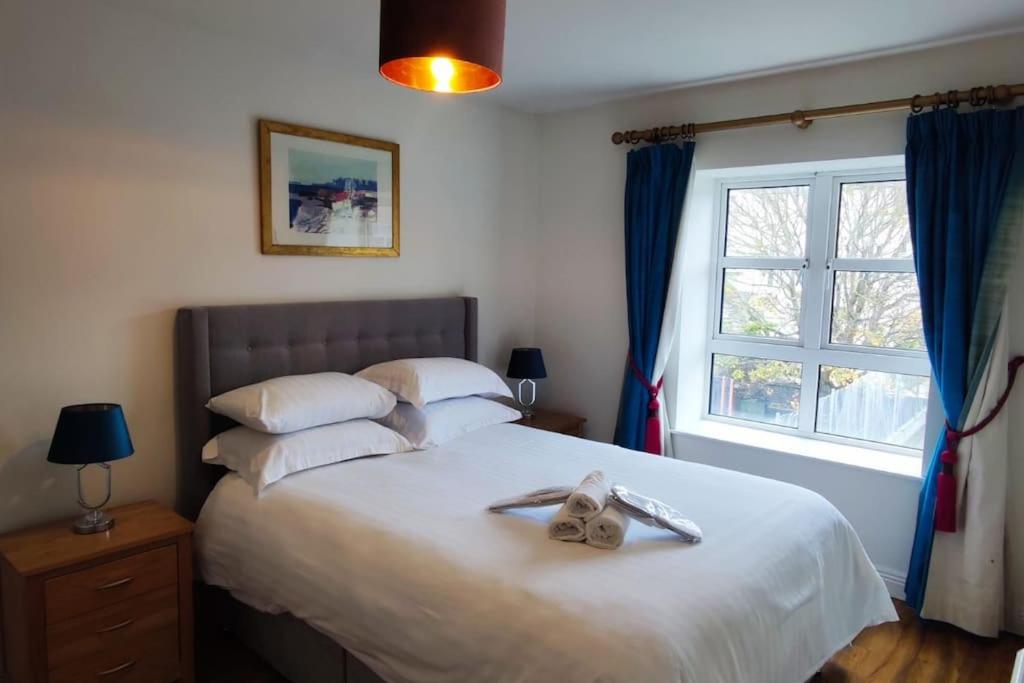 Spacious City Centre Apt - O'Connell Street Area