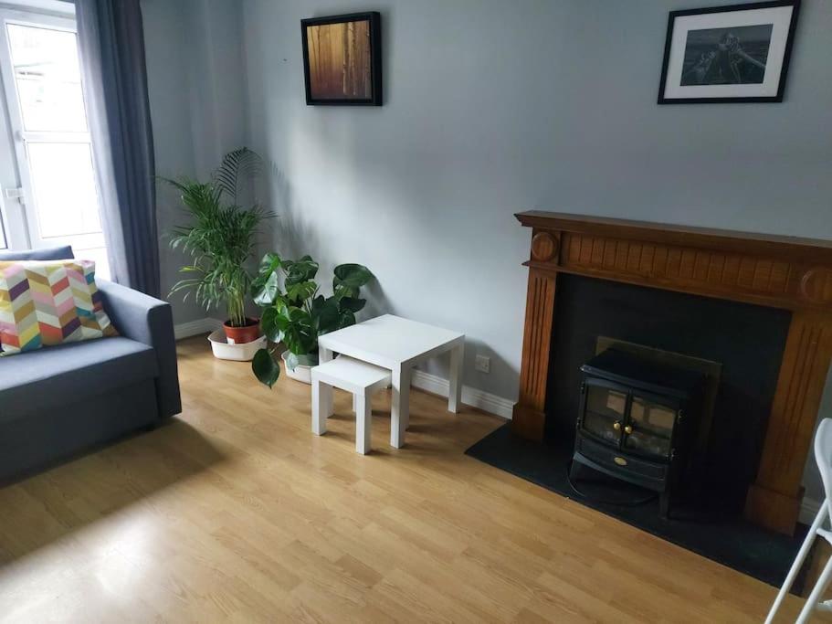 Spacious City Centre Apt - O'Connell Street Area