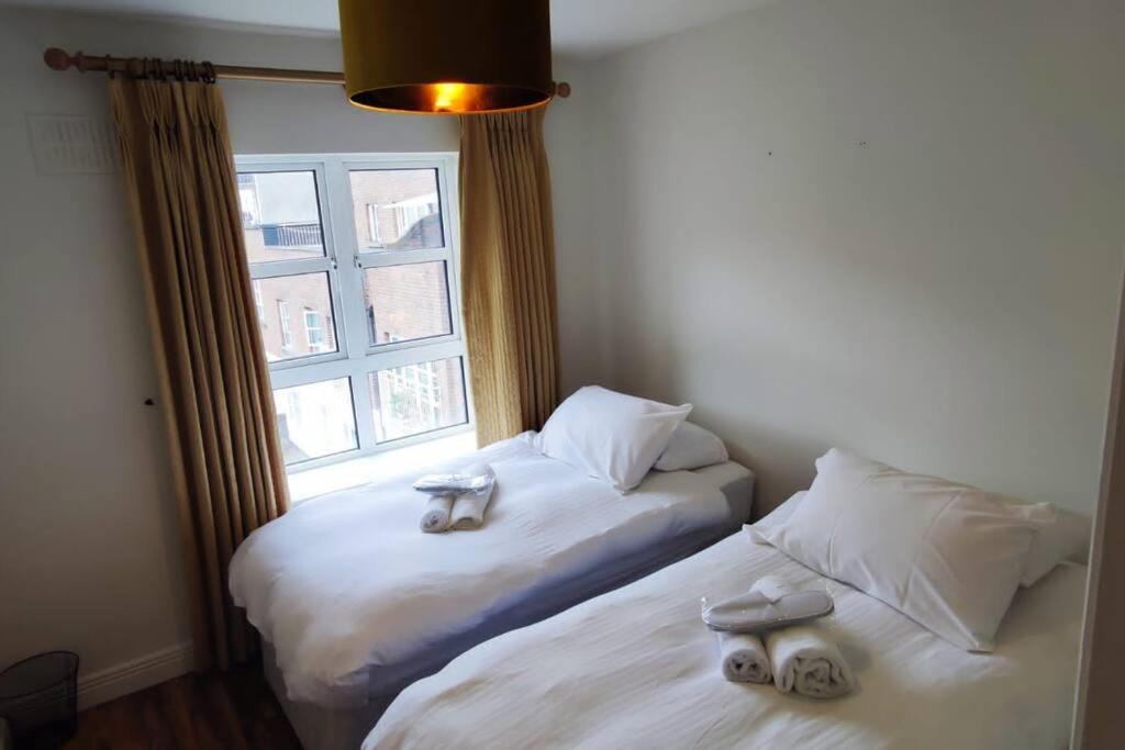 Spacious City Centre Apt - O'Connell Street Area