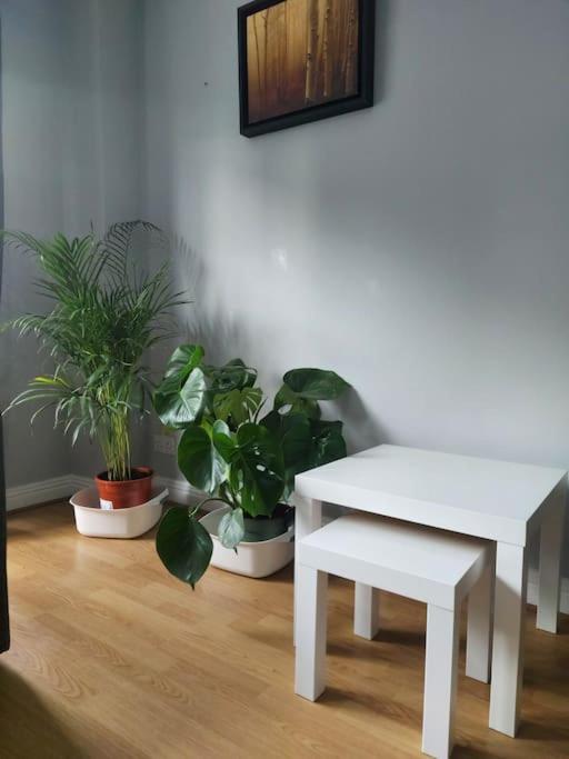 Spacious City Centre Apt - O'Connell Street Area