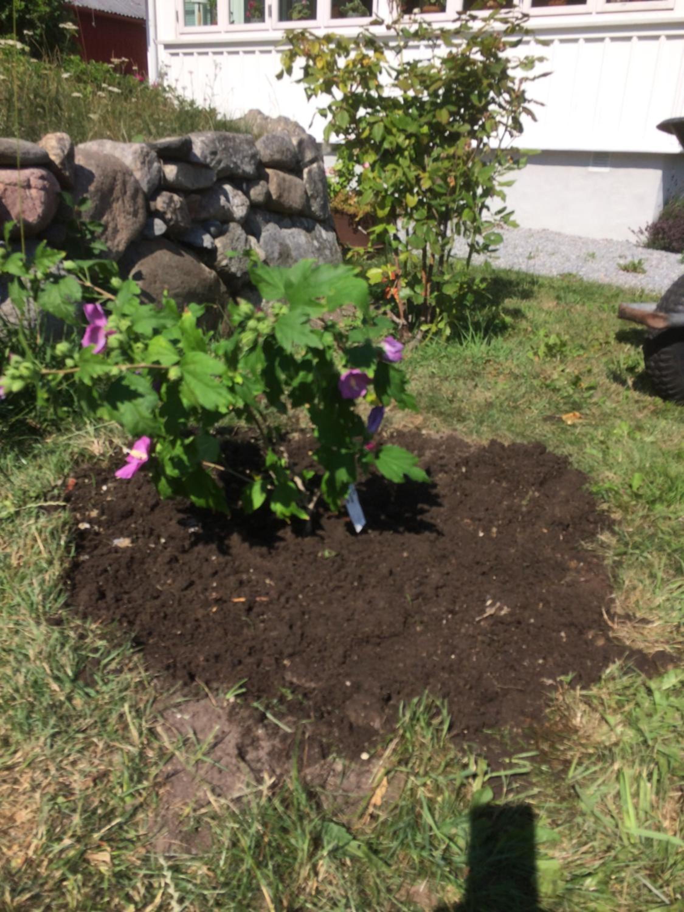 Photo 22