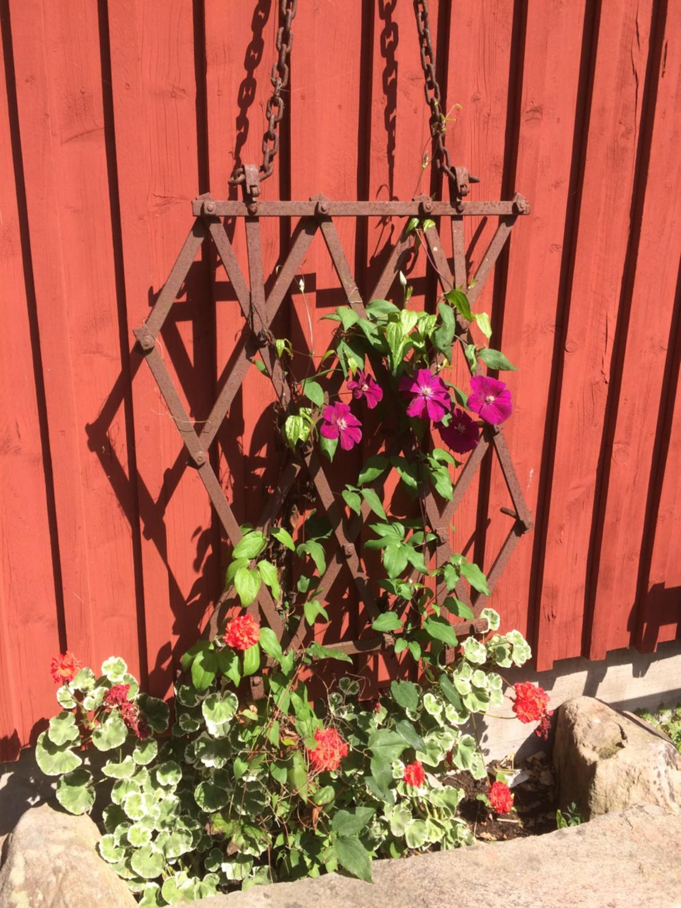 Photo 23