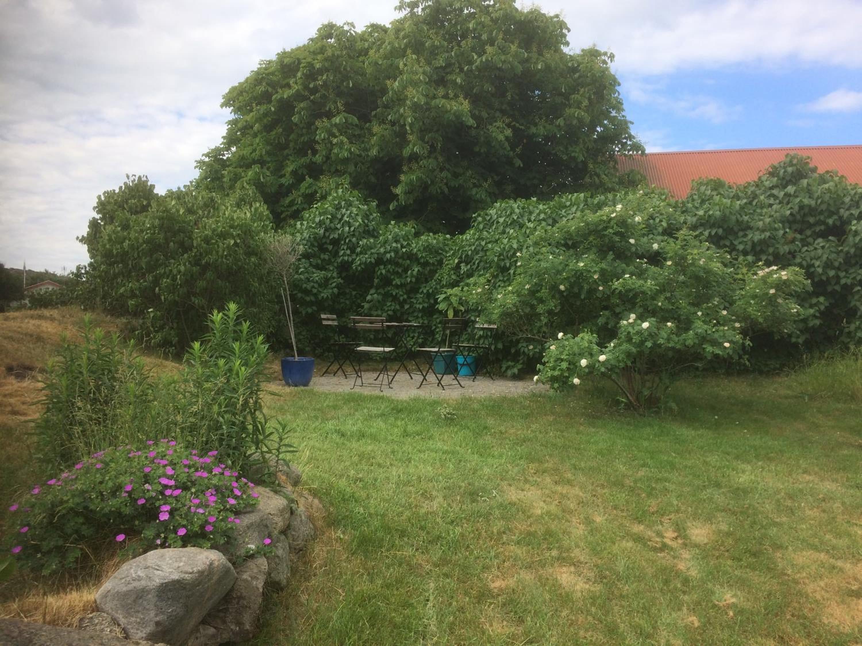 Photo 27