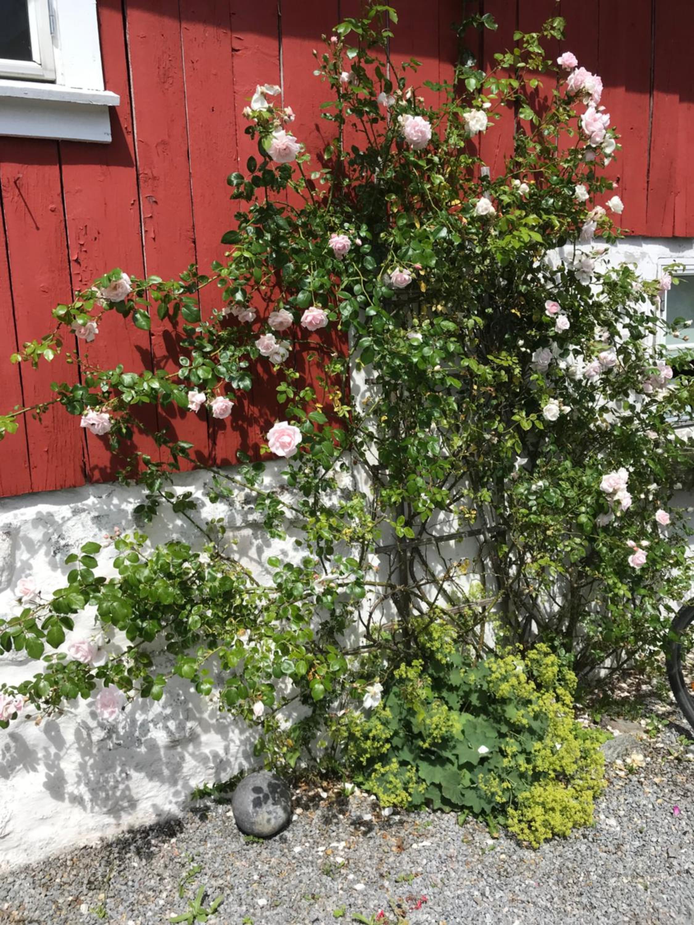 Photo 38