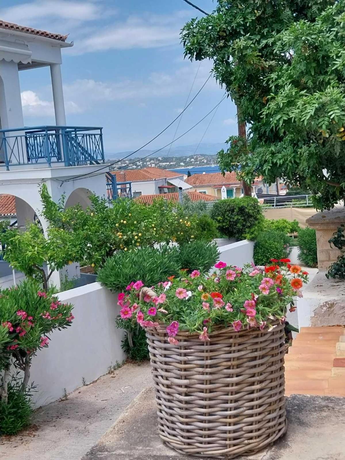 Vivi's Apartments photo 2