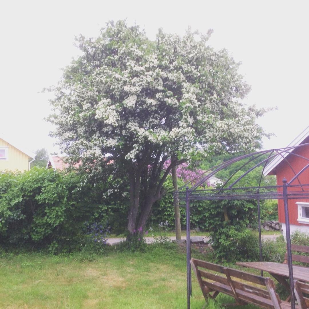 Photo 39