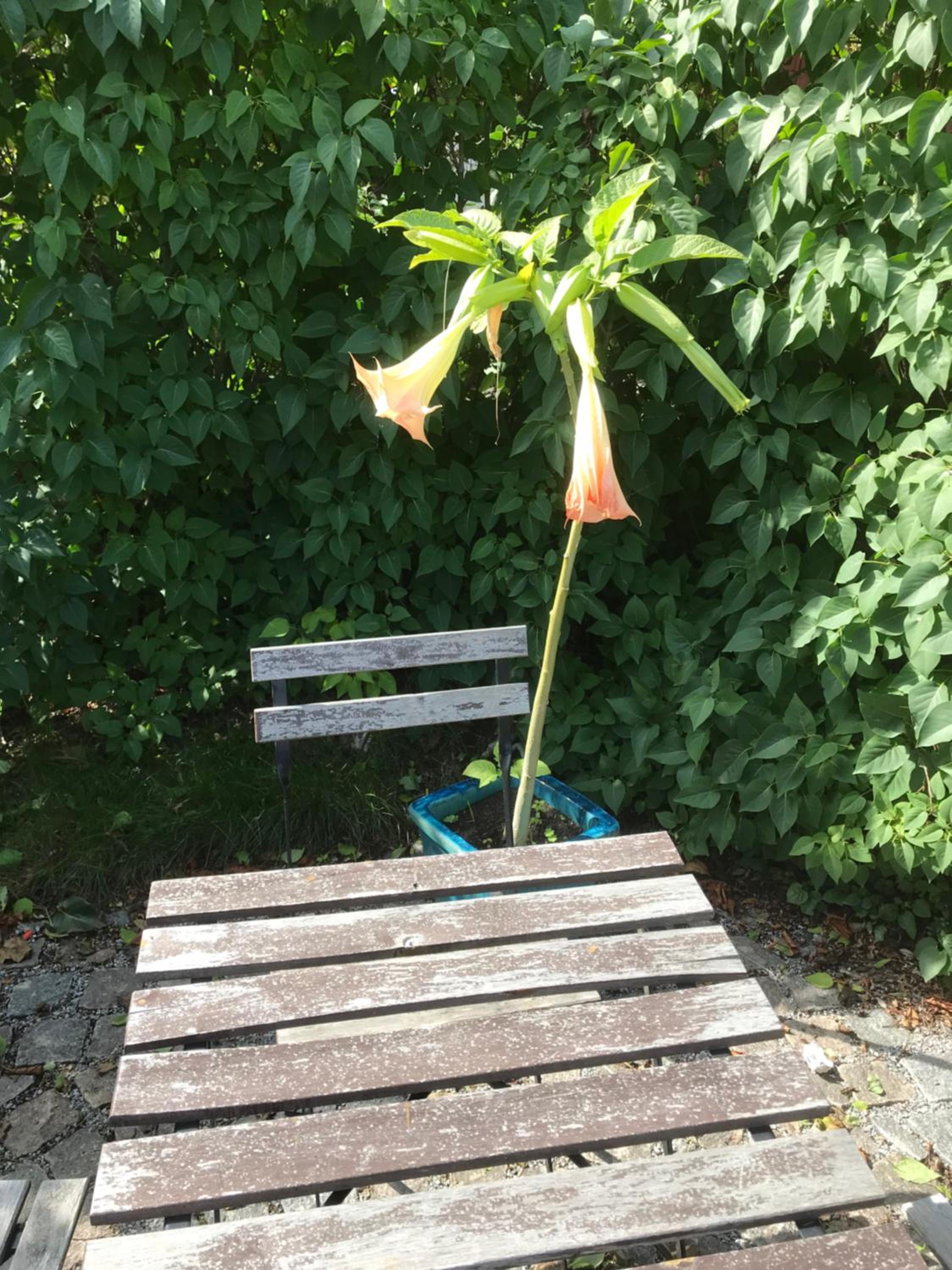 Photo 41