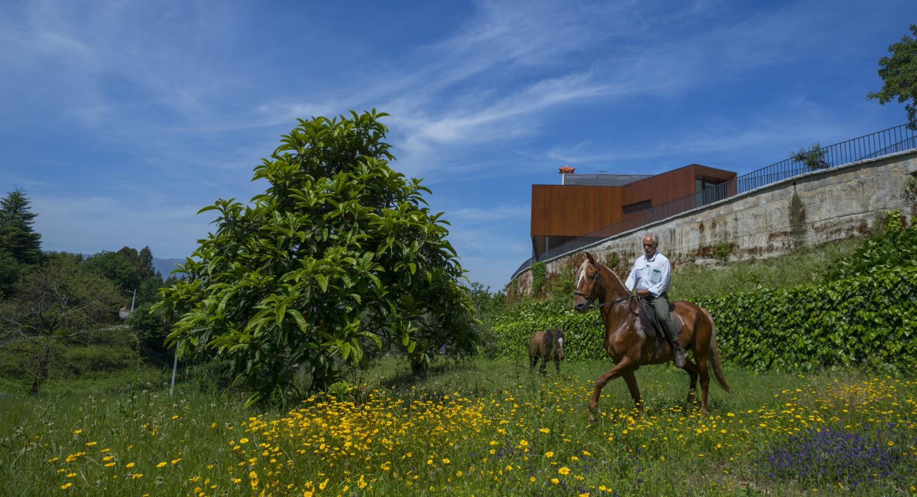 Quinta do Fontelo