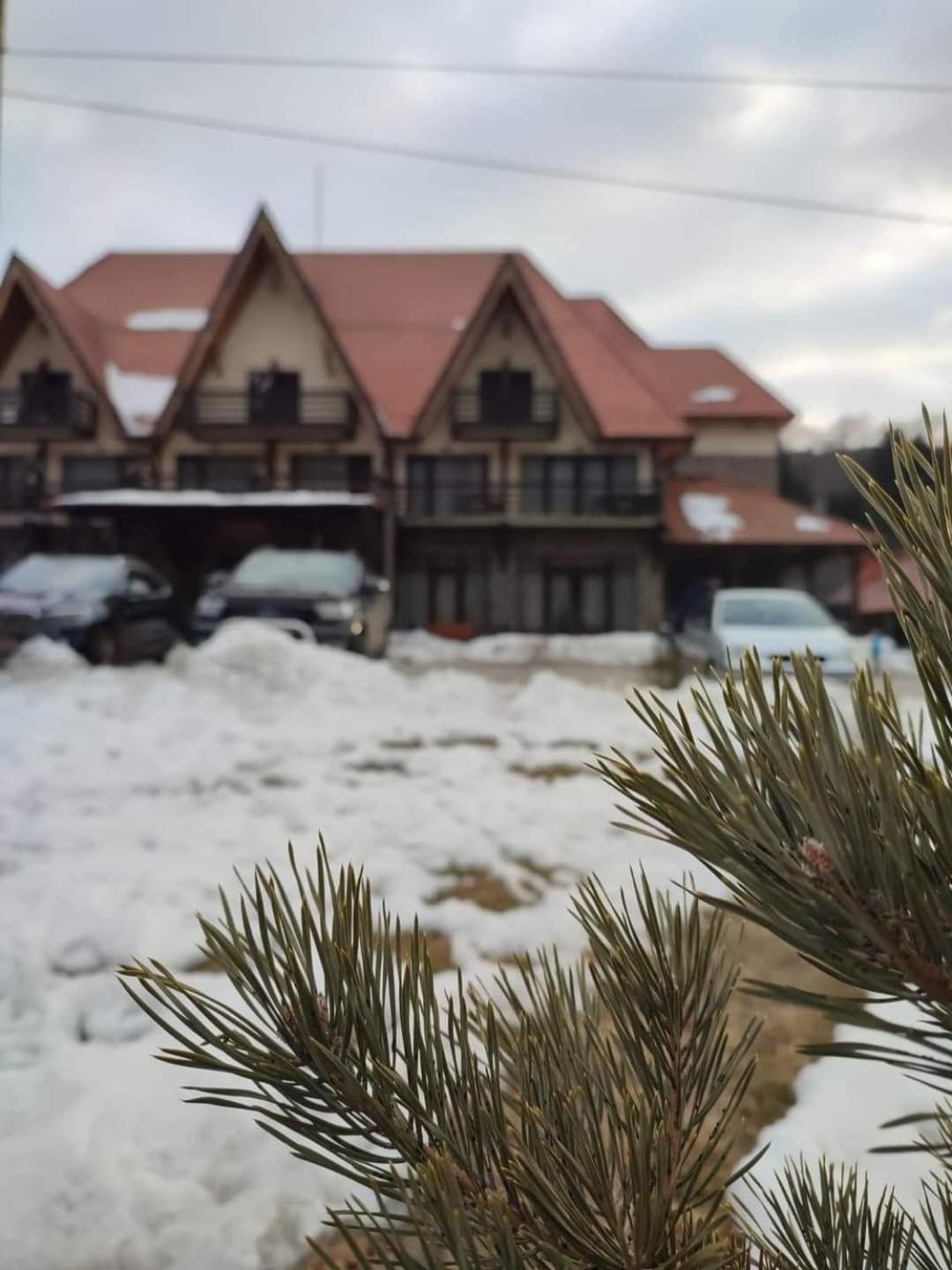 Hotel Pensiunea Ovidiu&Paula - Image 1