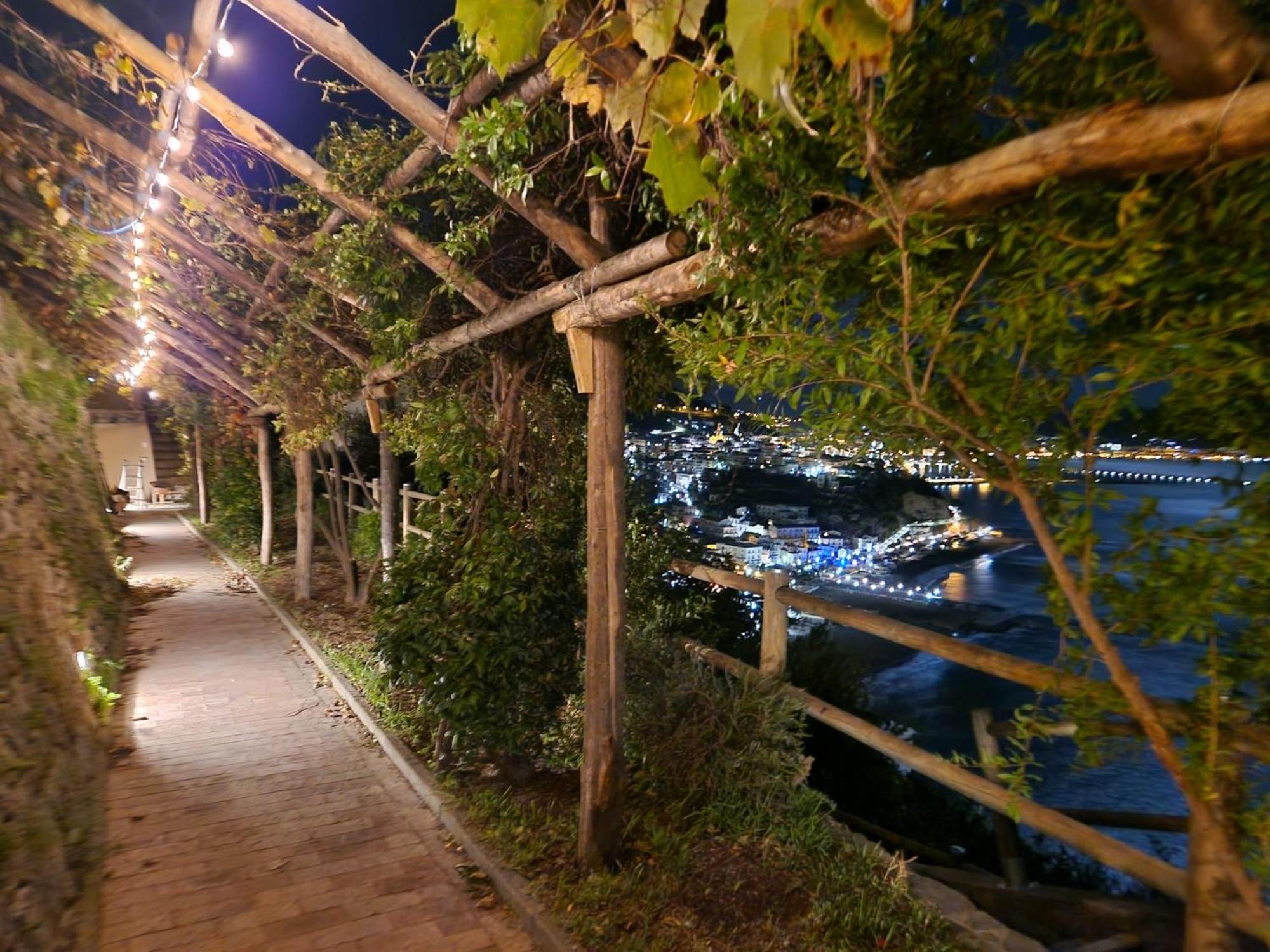 Photo 41