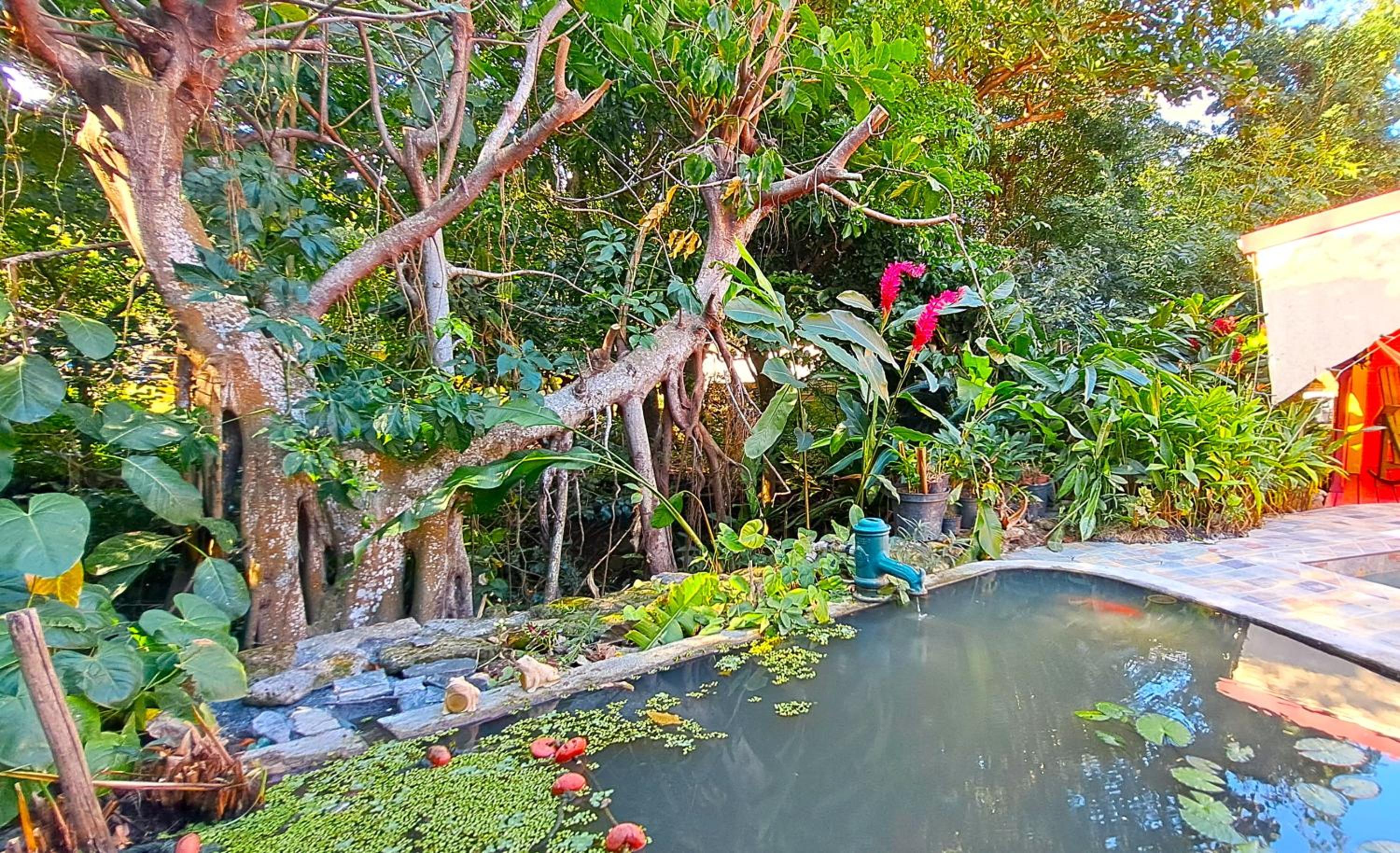 VILLA La Perle PLAGE à PIED, PISCINE à Deshaies view 2