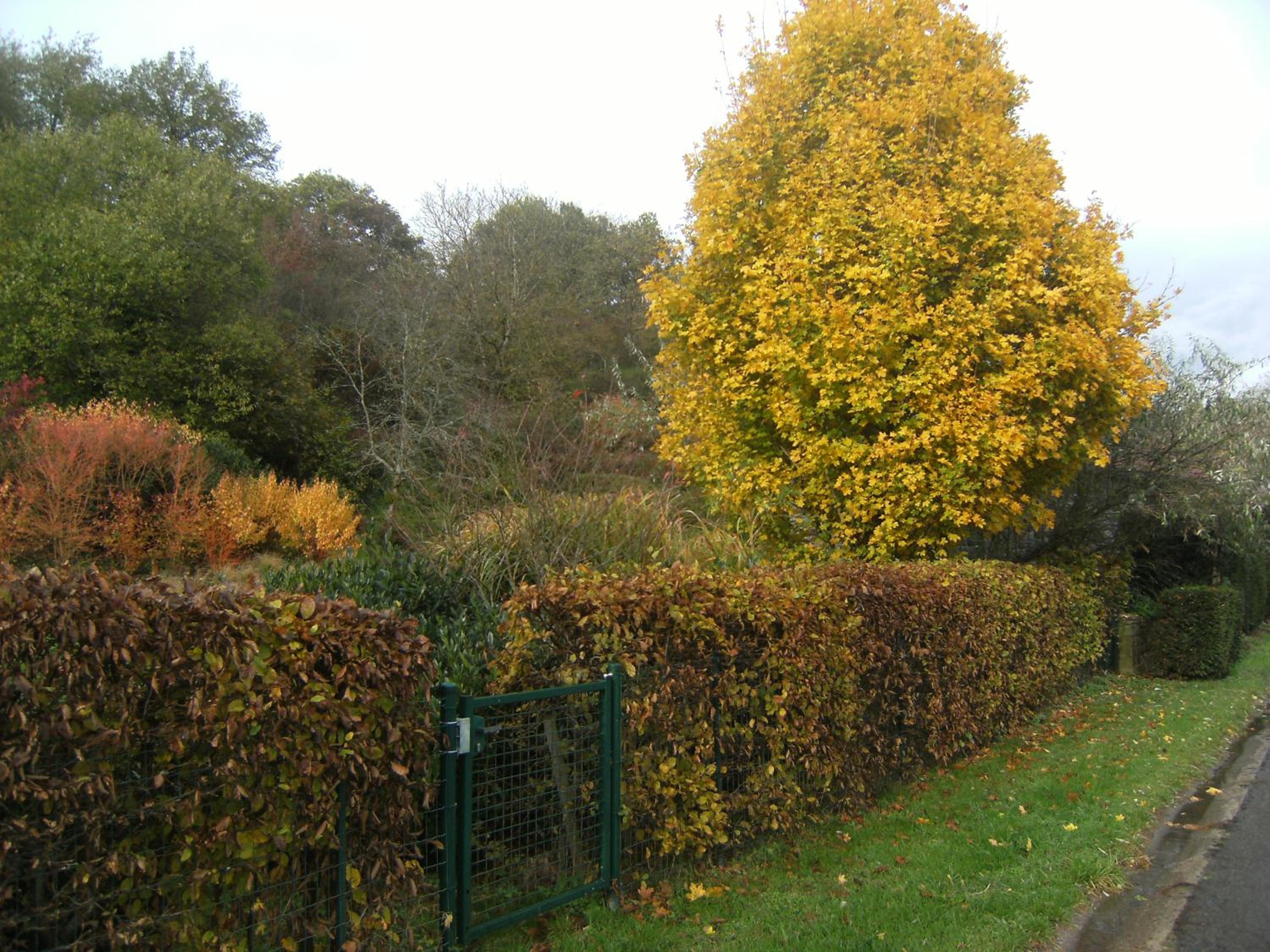 Clos Du Ry De Snaye