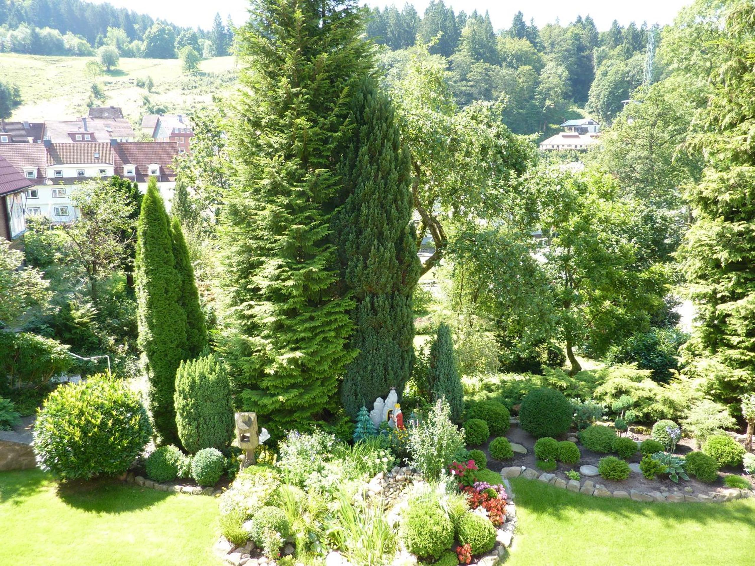 Pension Rheingold Garni