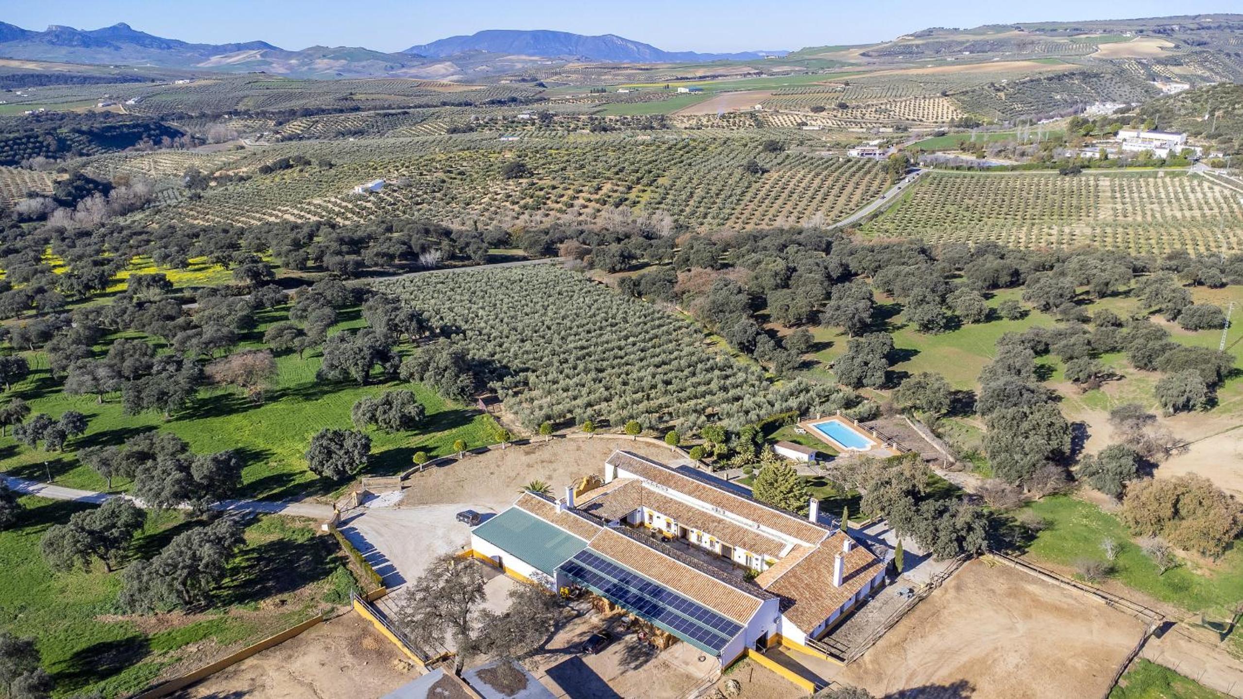 Cubo's El Baldio Country House - Setenil Bodegas view 5