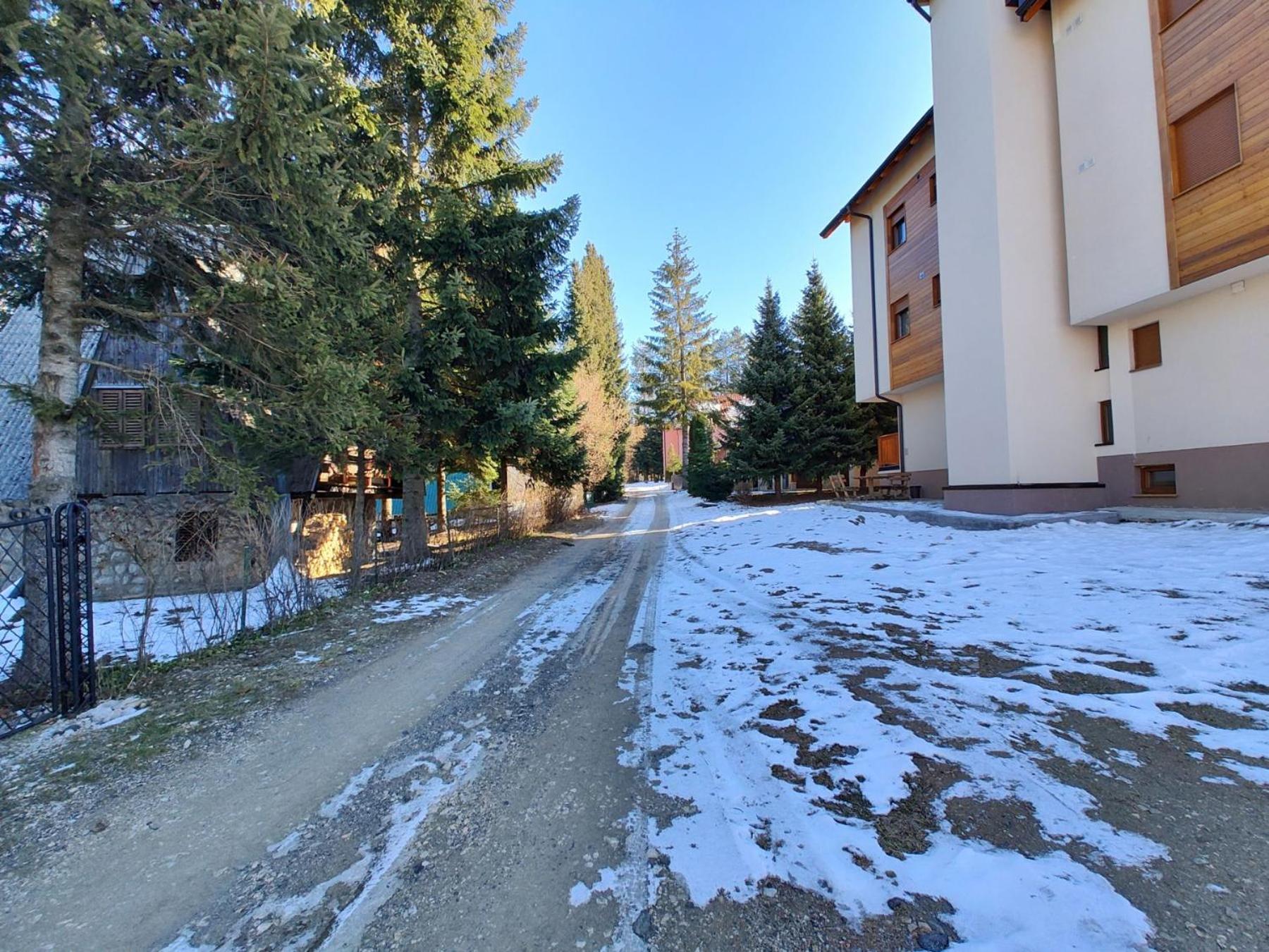 Photo 45