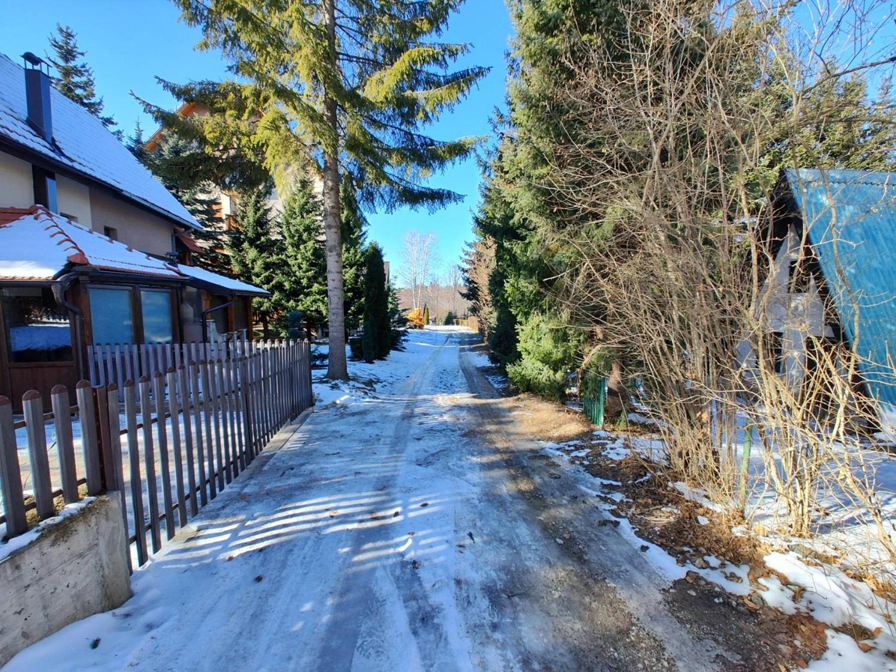 Photo 43