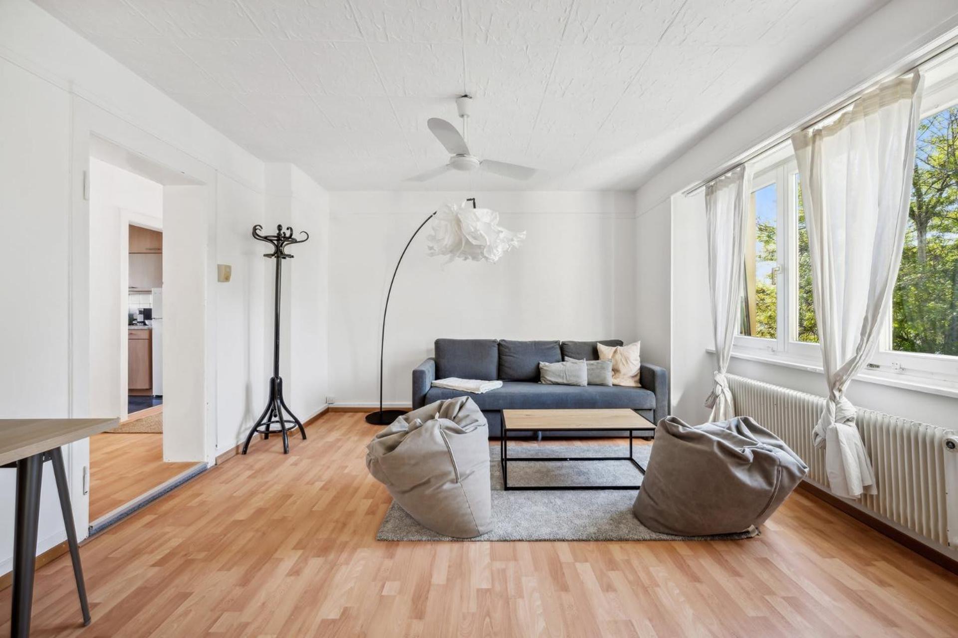 Homey Comfort in Oerlikon