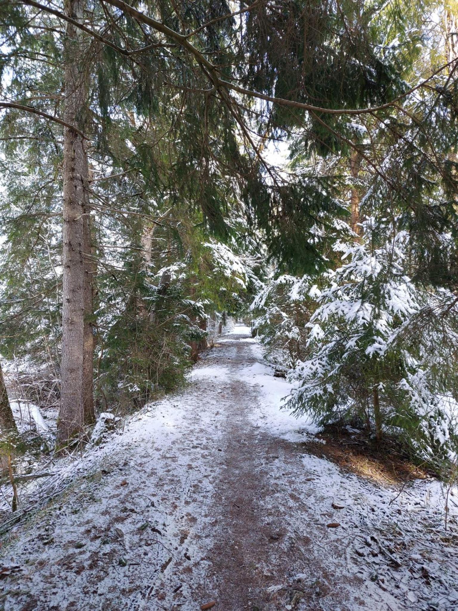 AlpApart Hornberg