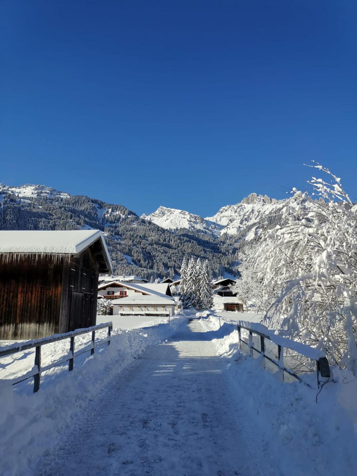AlpApart Hornberg