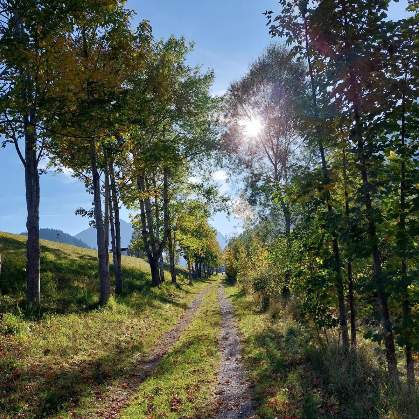AlpApart Hornberg