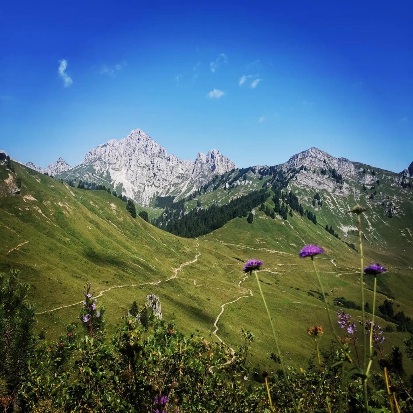 AlpApart Hornberg