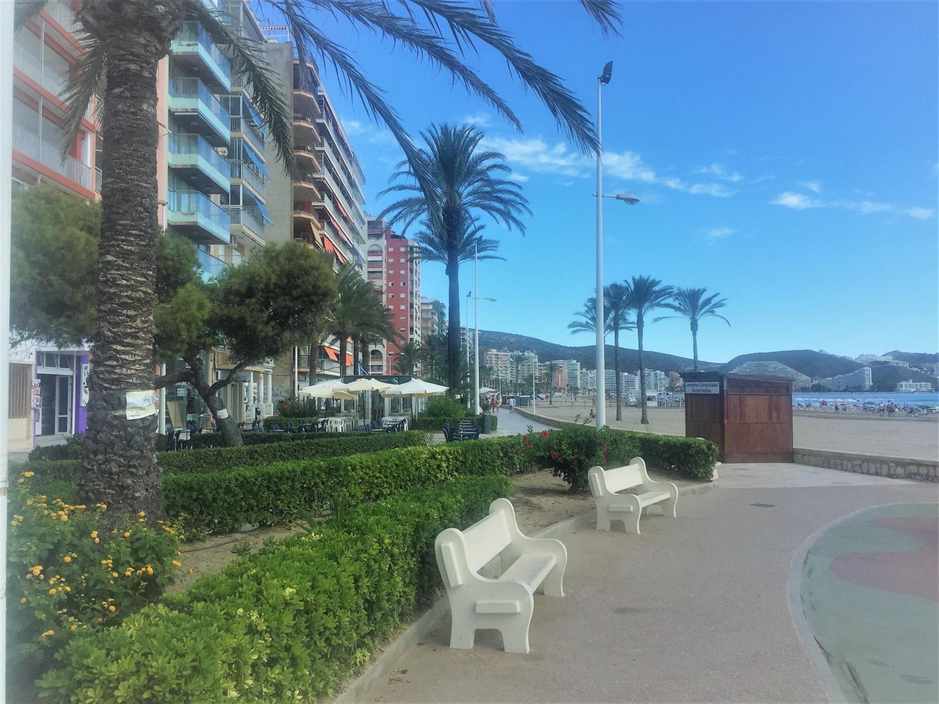 Beachfront and Cozy Apartment