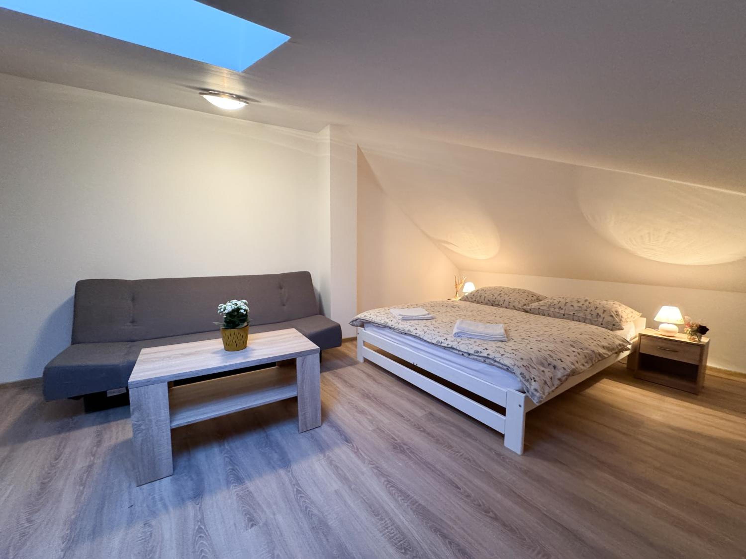 Apartment U Černého Orla