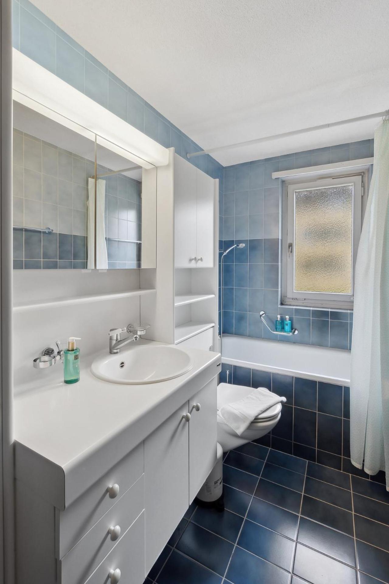 Cozy 2 Bedroom Apartment in Zurich