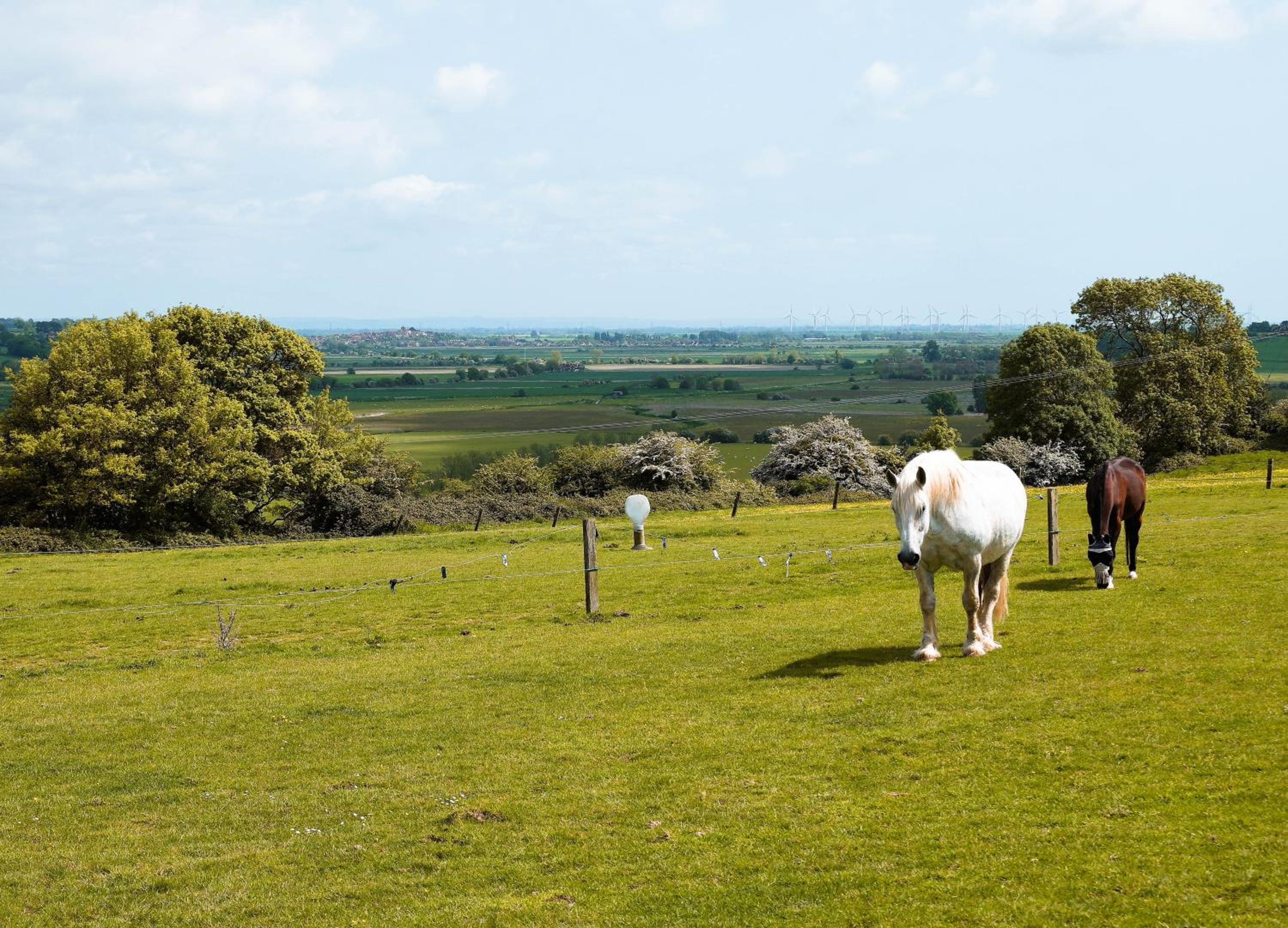 Peaceful Parsonage Barn Annexe