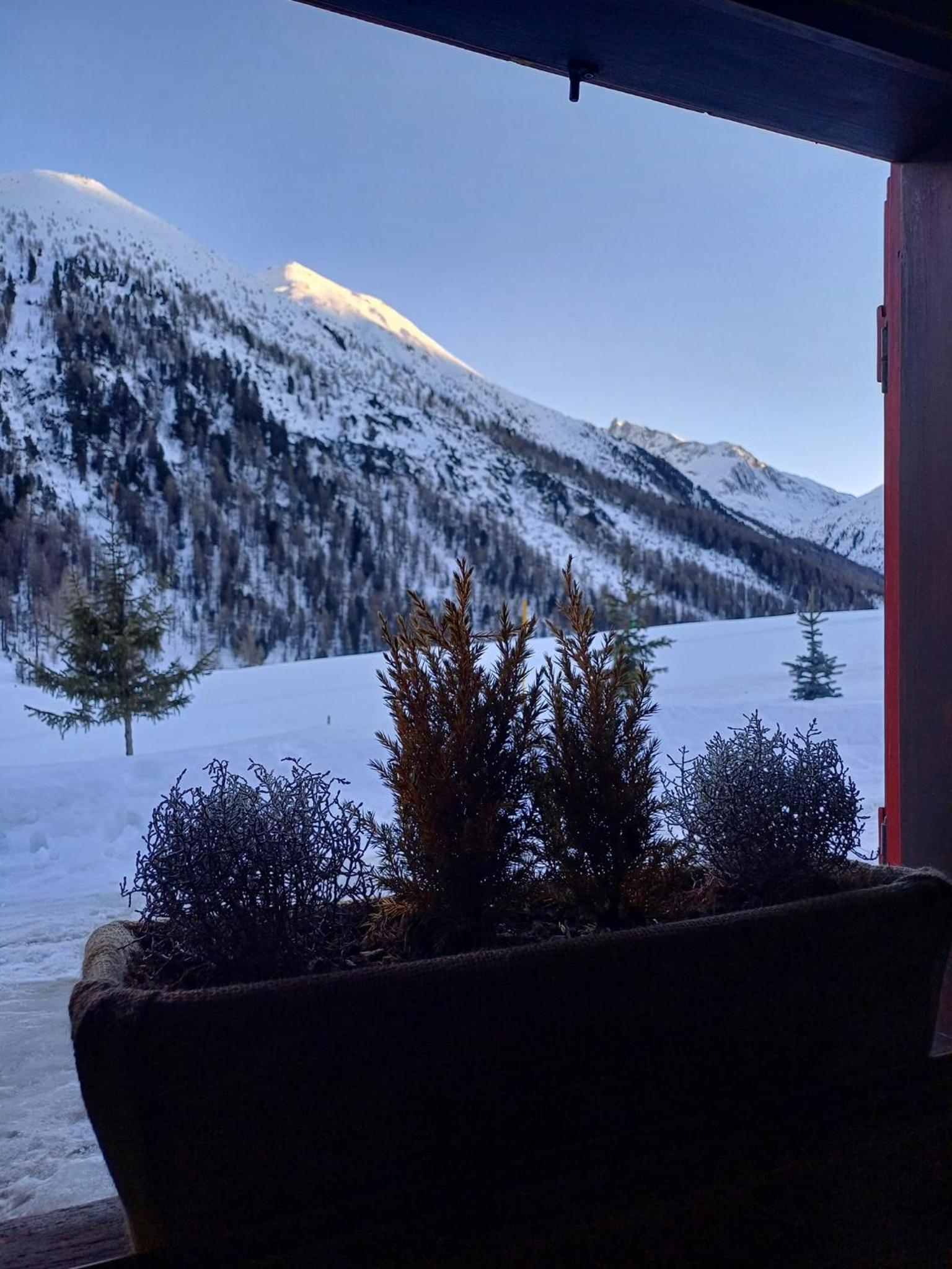 Chalet Renzo photo 4