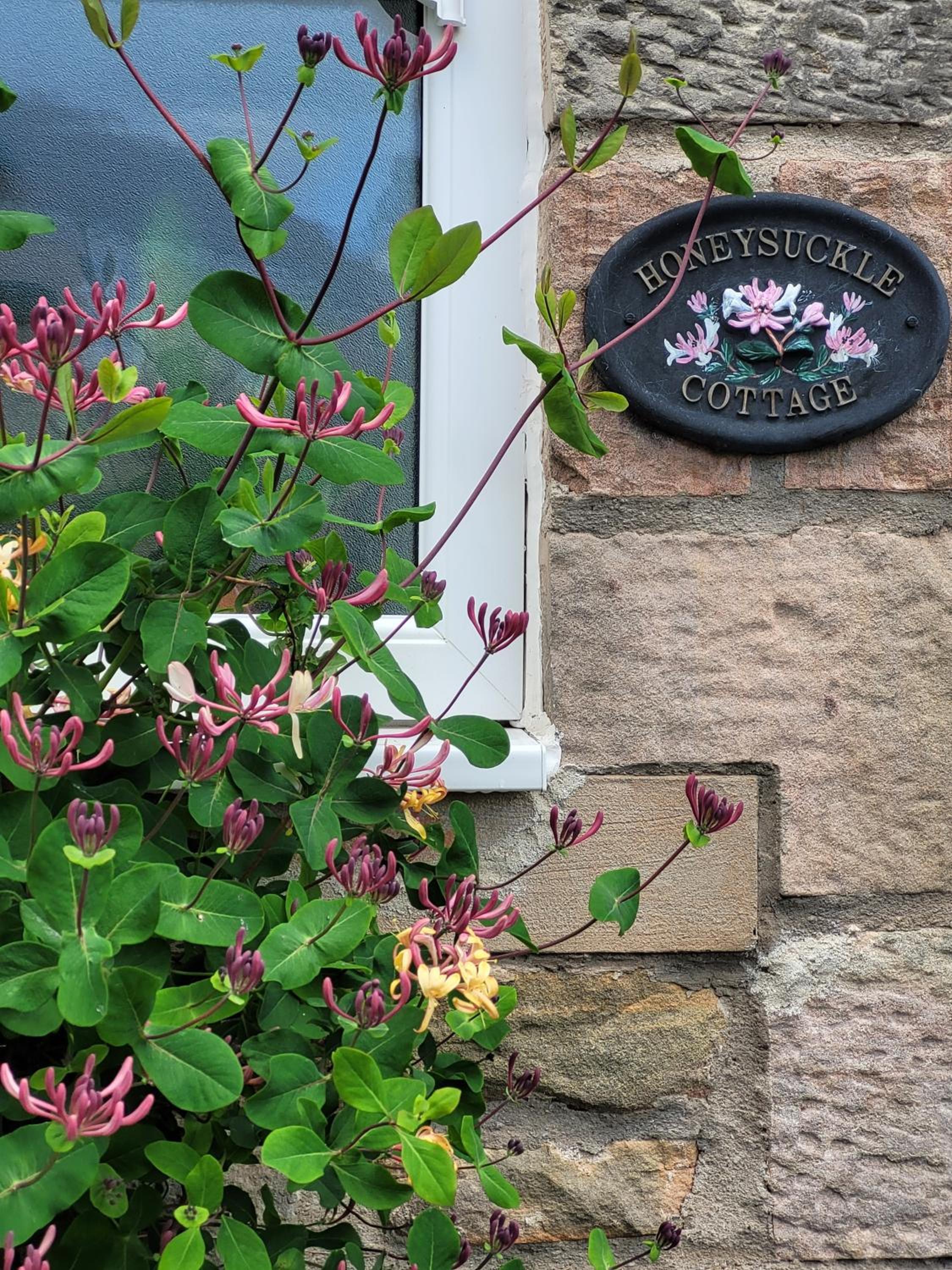 Honeysuckle Cottage