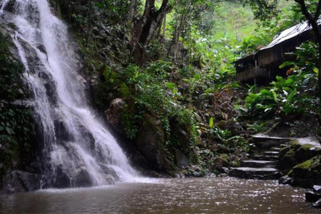 Cabaña con piscina en Minca