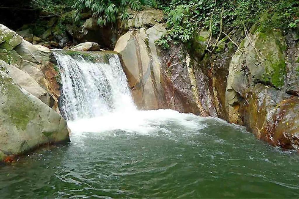 Cabaña con piscina en Minca