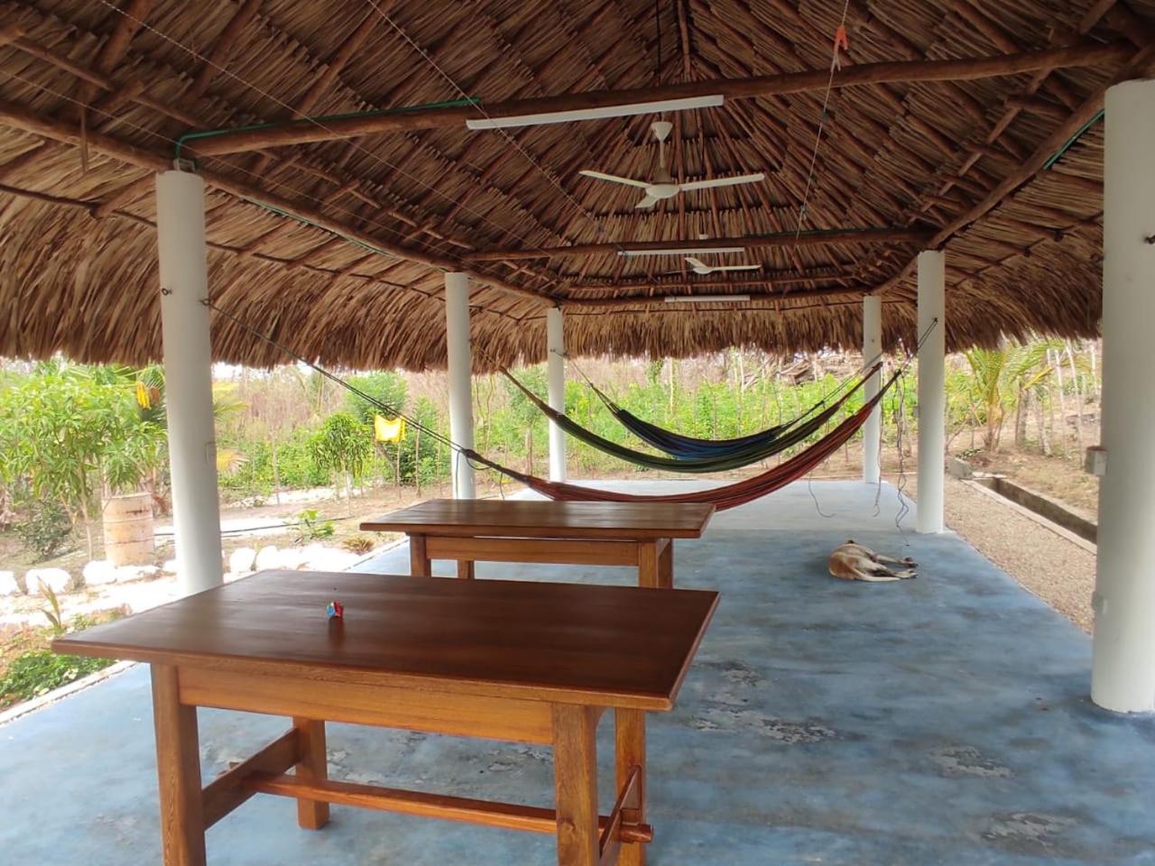 Olamar Hostal