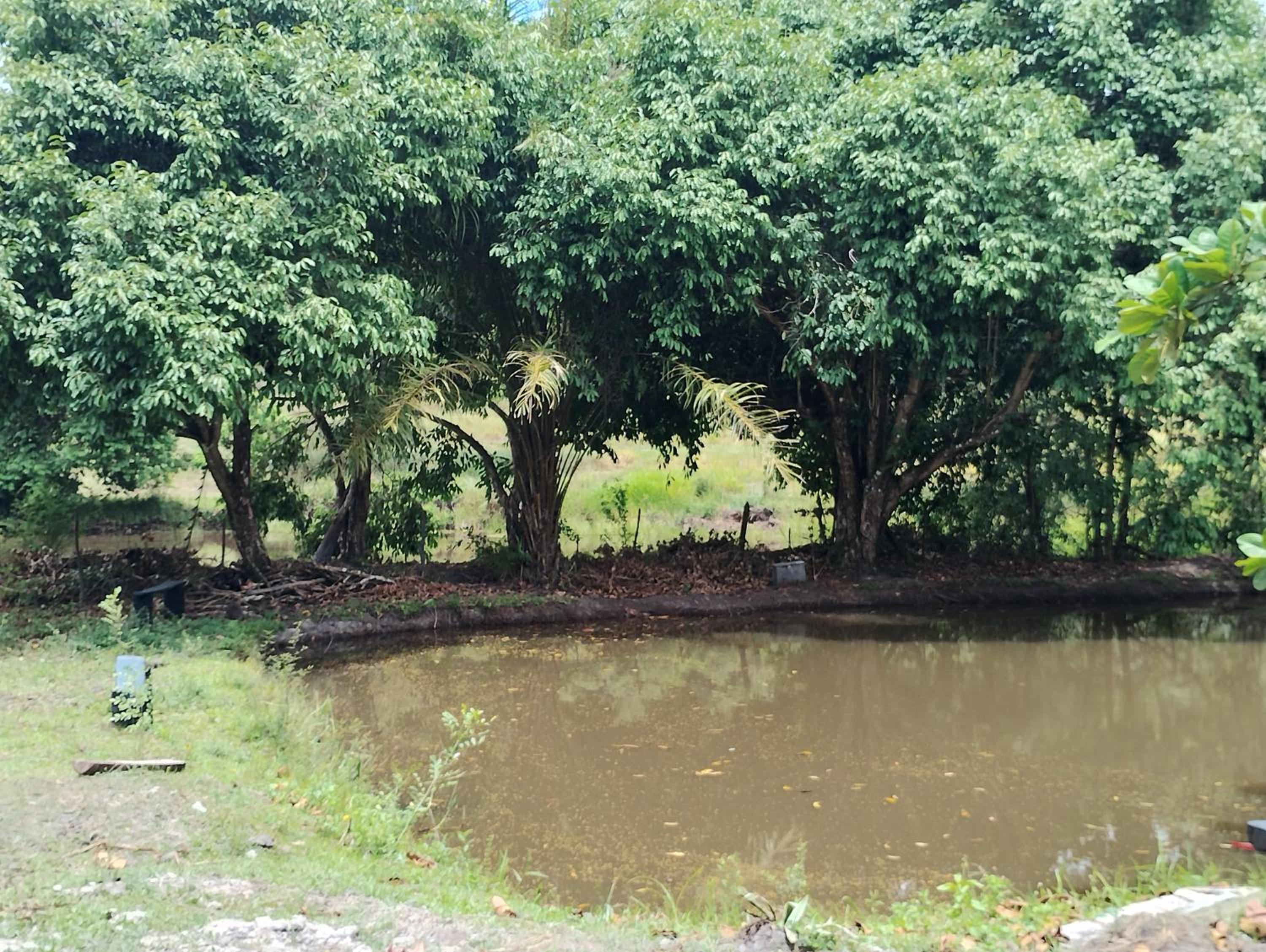 Rancho Cariri (São Jorge do Cariri)