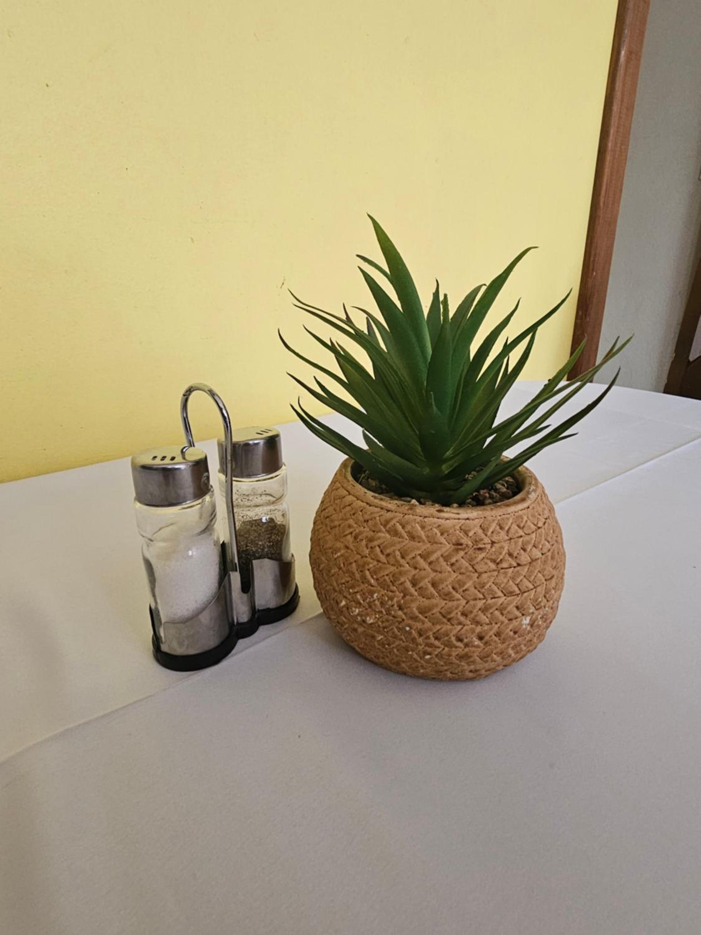 Cozy Flat in San Ignacio Close to Downtown!