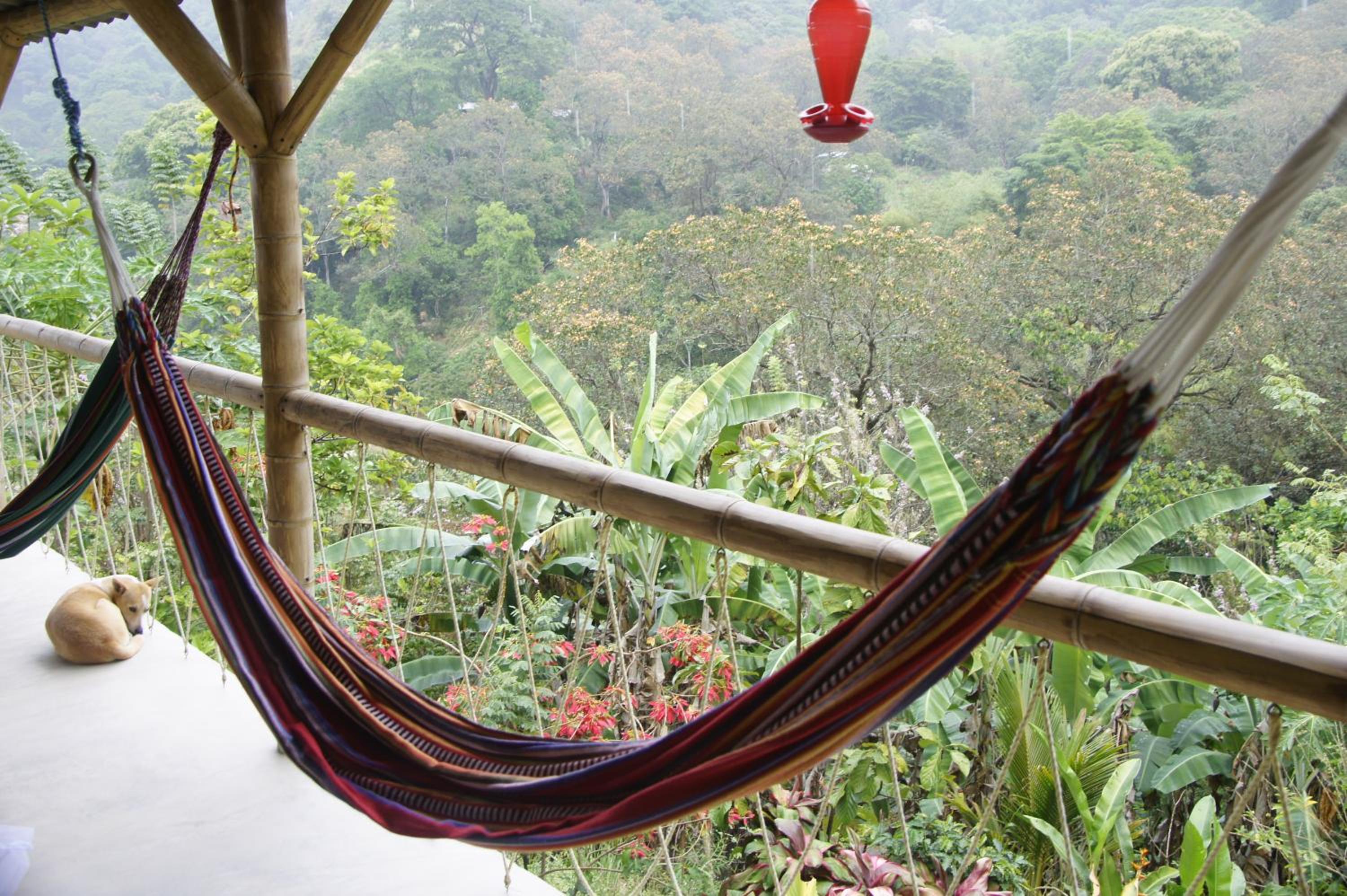 Hostal Vista Verde Minca