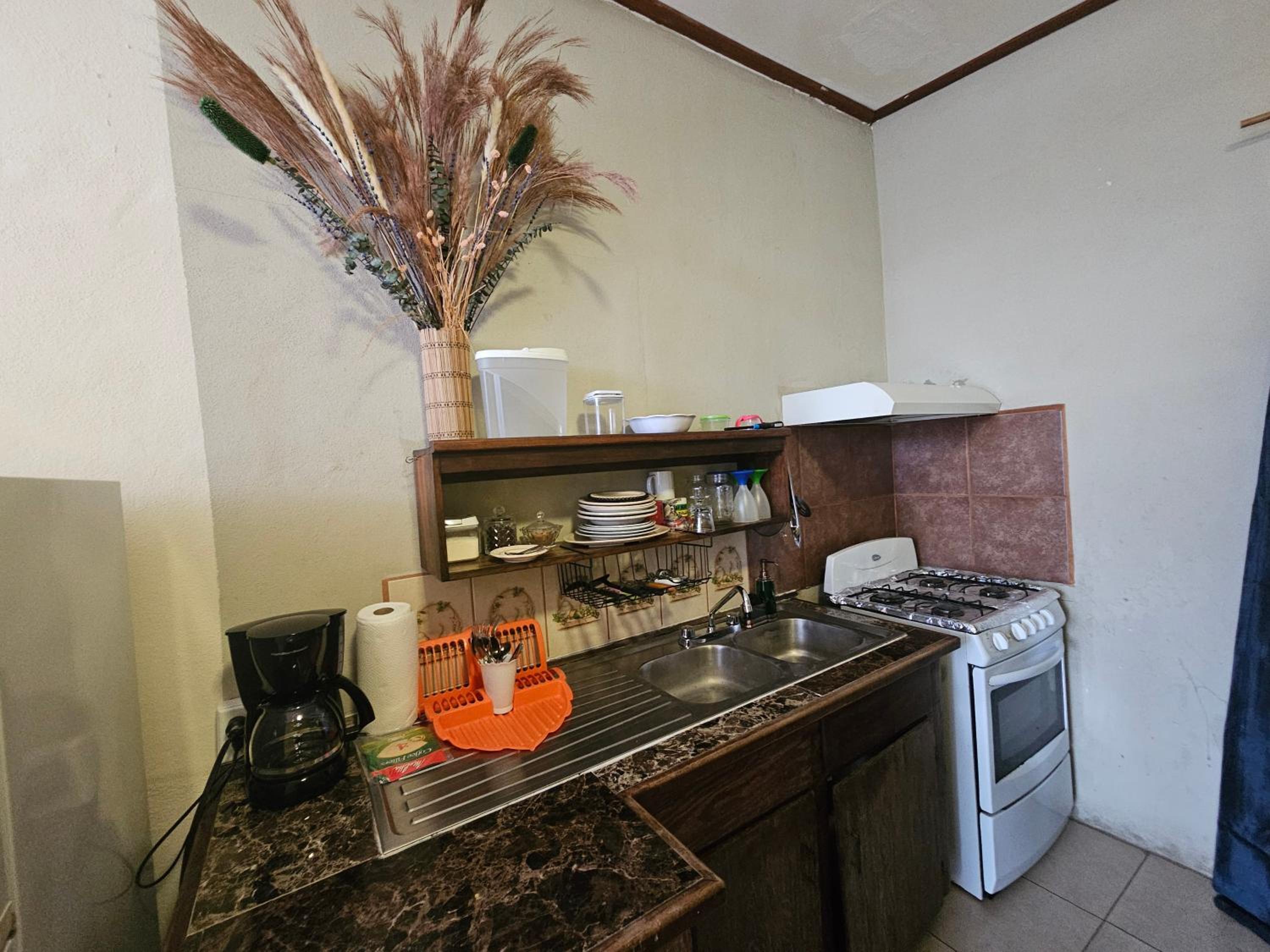 Cozy Flat in San Ignacio Close to Downtown!