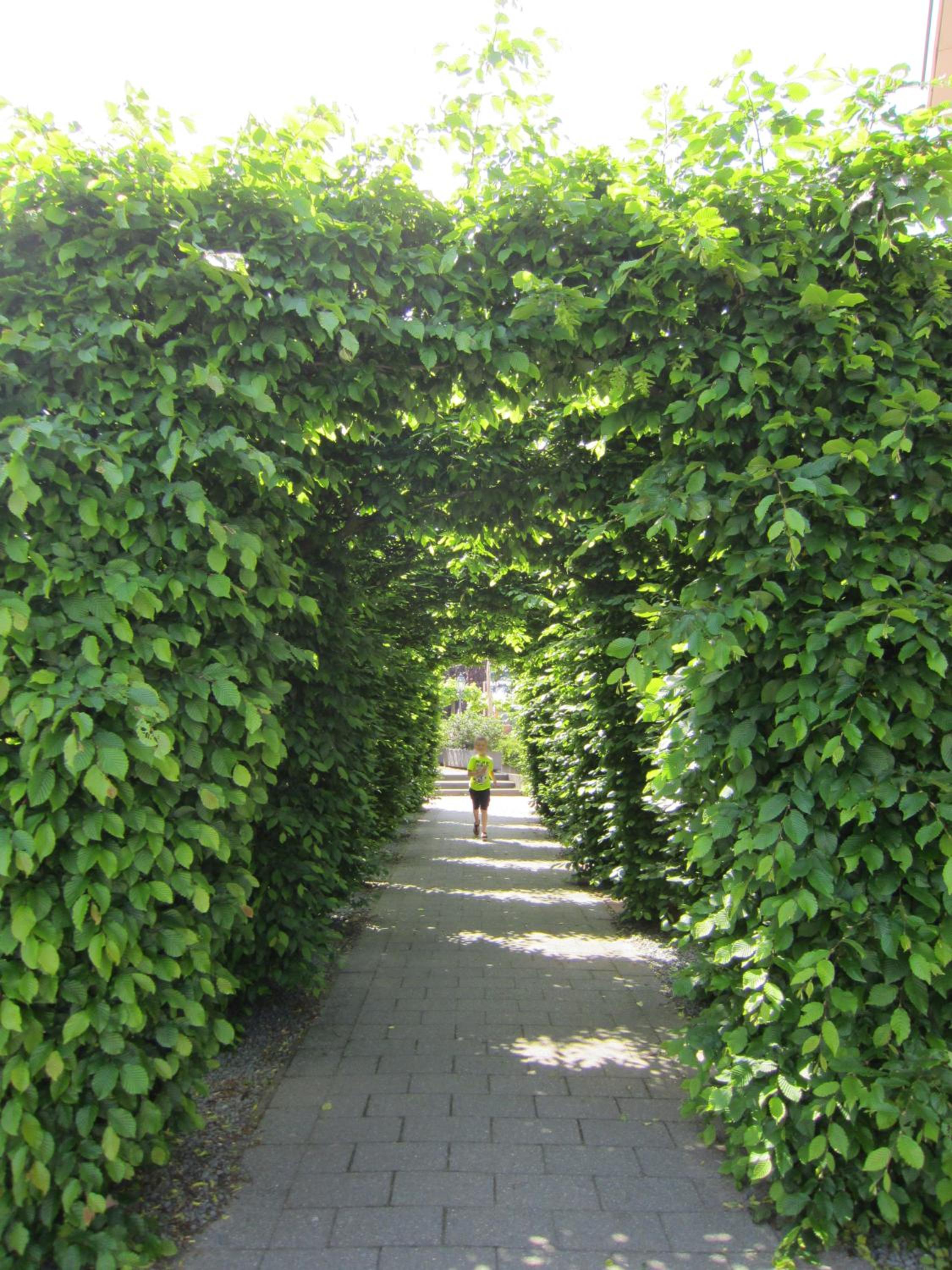 Photo 30
