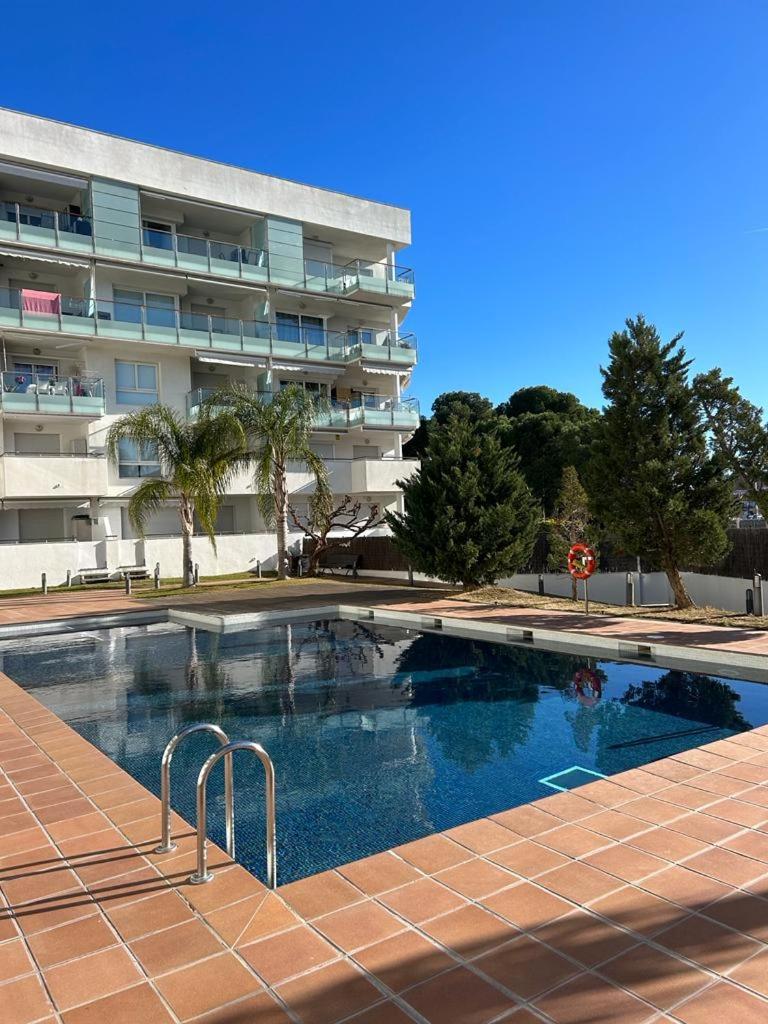 Rosas Aqua Marina