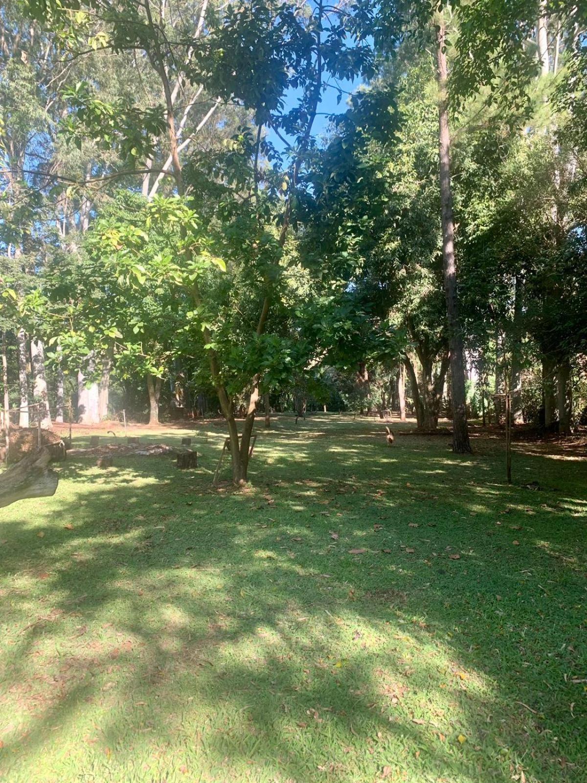 Casa Chica: no meio da natureza e perto de tudo